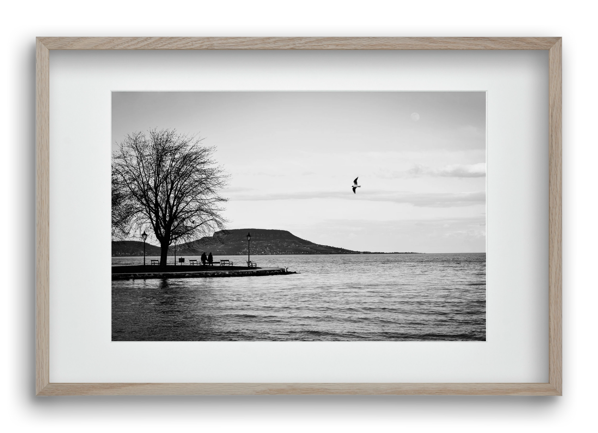 Full moon, 60x40 cm (45x30 cm), Tölgy keret, paszpartuval