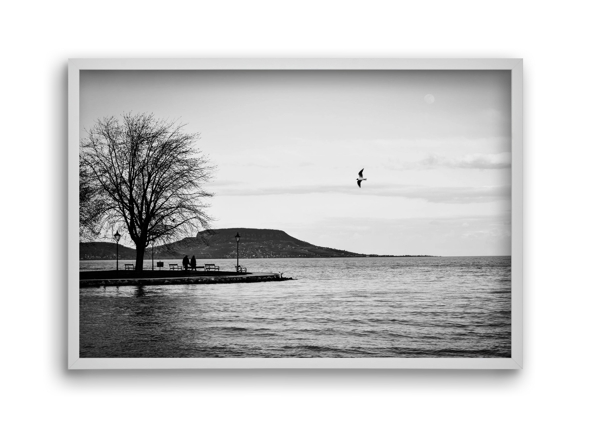 Full moon, 45x30 cm (45x30 cm), Fehér keret