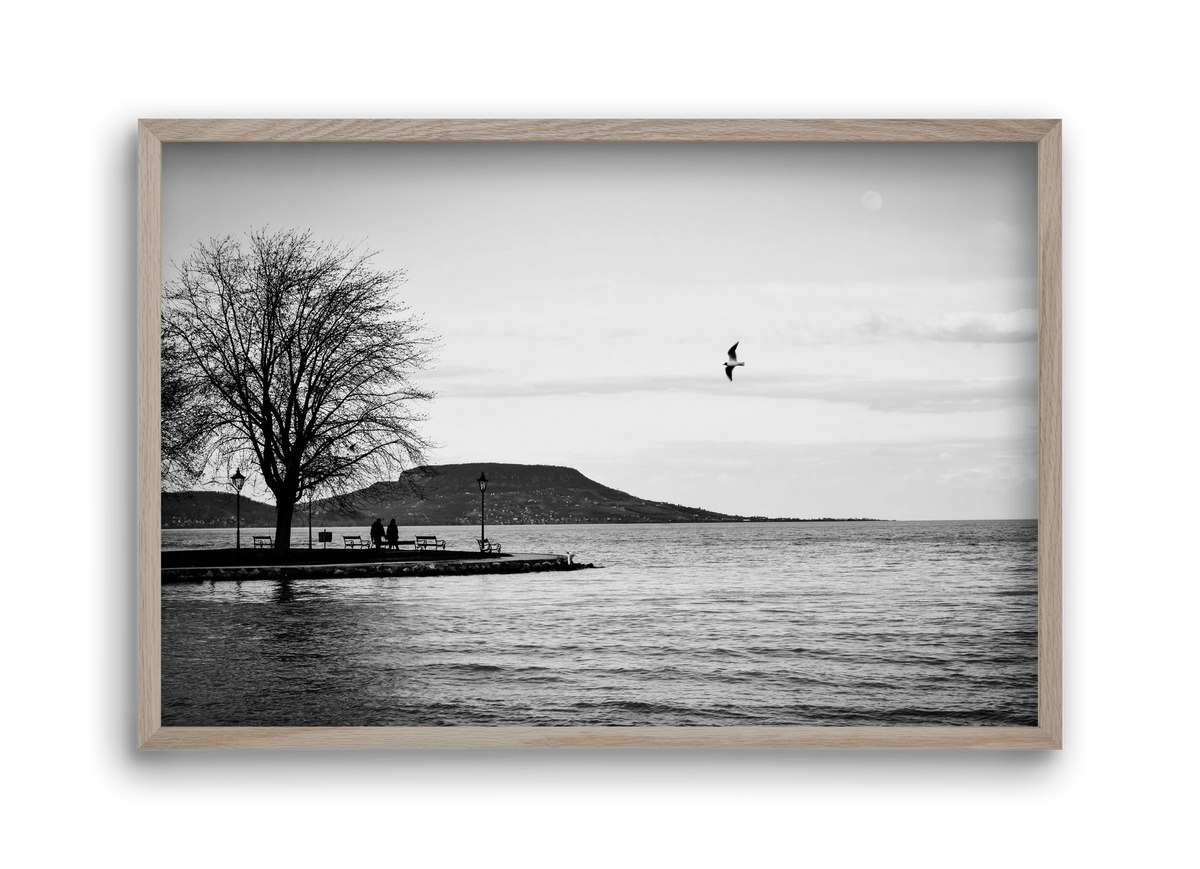 Full moon, 45x30 cm (45x30 cm), Tölgy keret