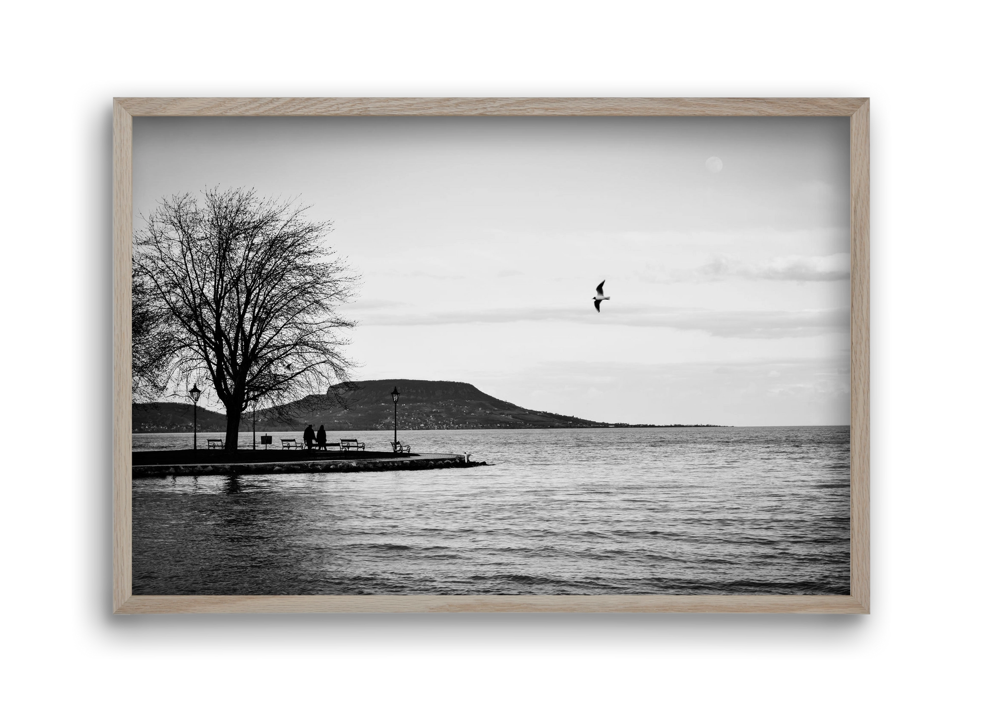 Full moon, 45x30 cm (45x30 cm), Tölgy keret