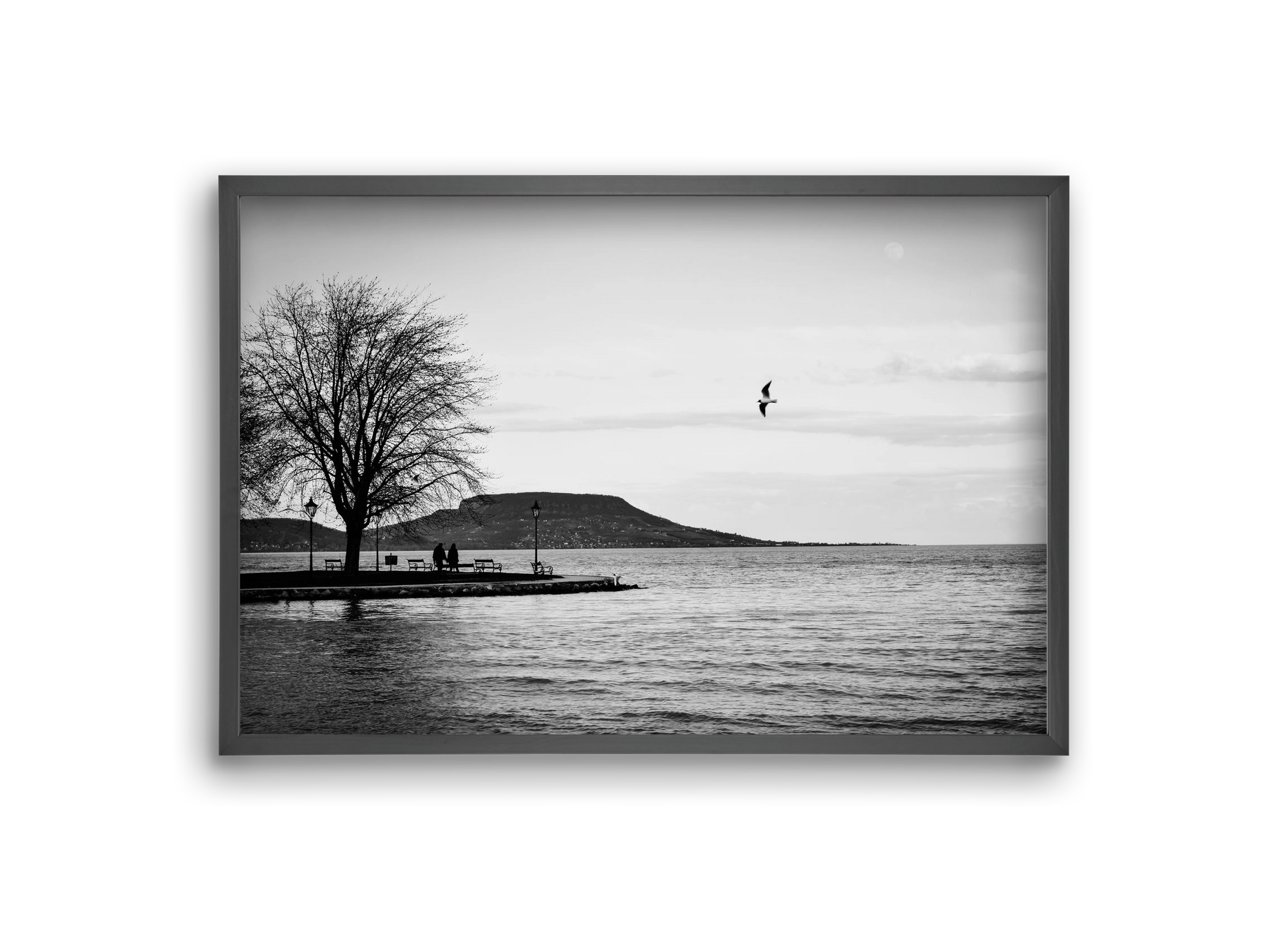 Full moon, 30x20 cm (30x20 cm), Fekete keret