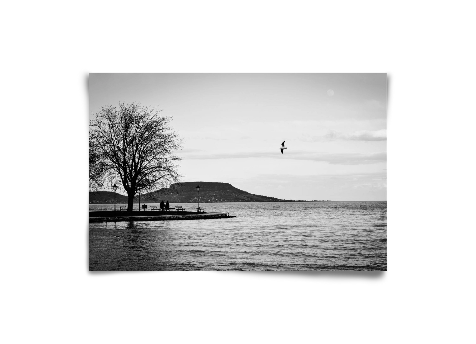 Full moon, 30x20 cm, Keret nélkül