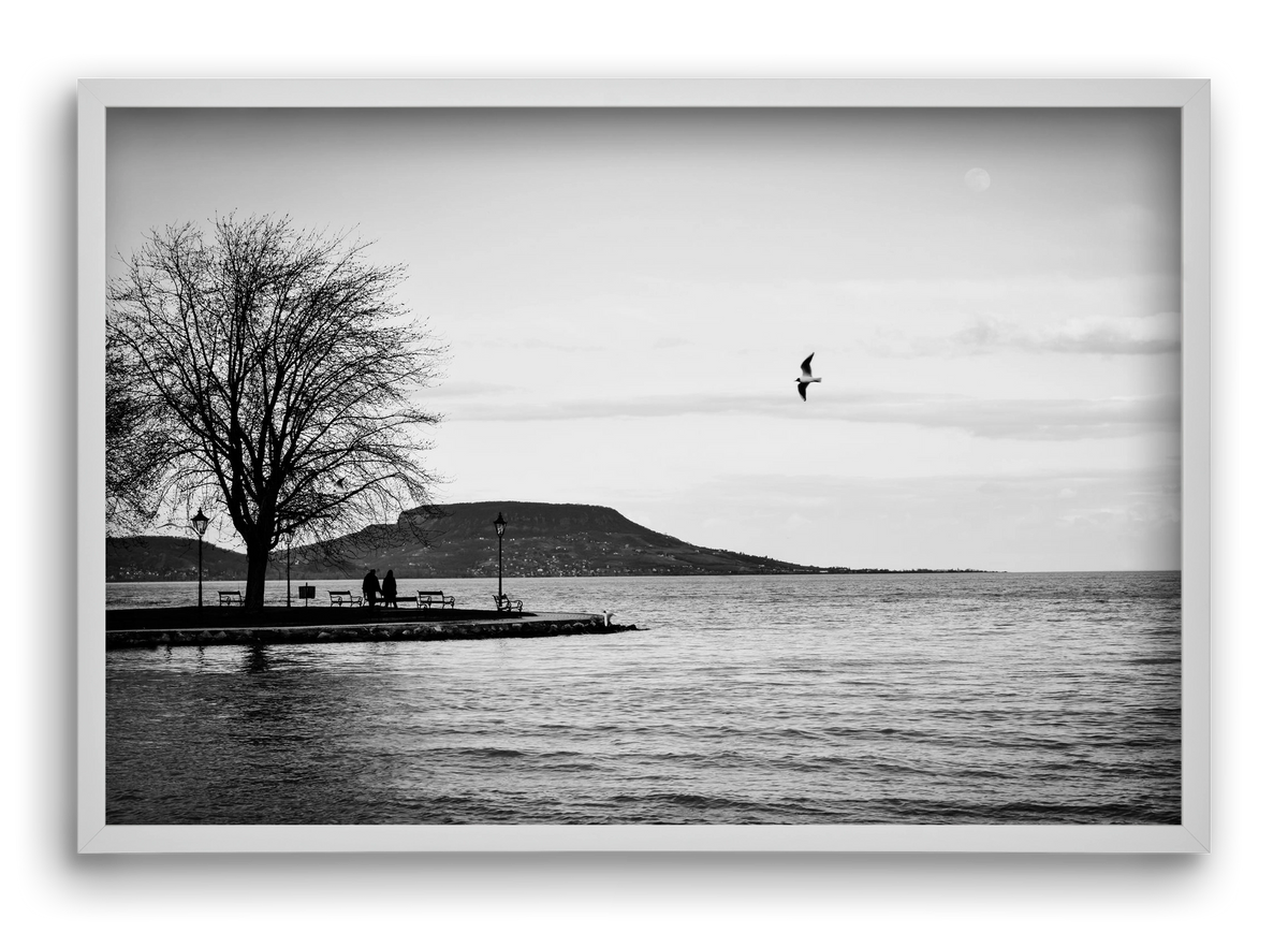 Full moon, 60x40 cm (60x40 cm), Fehér keret