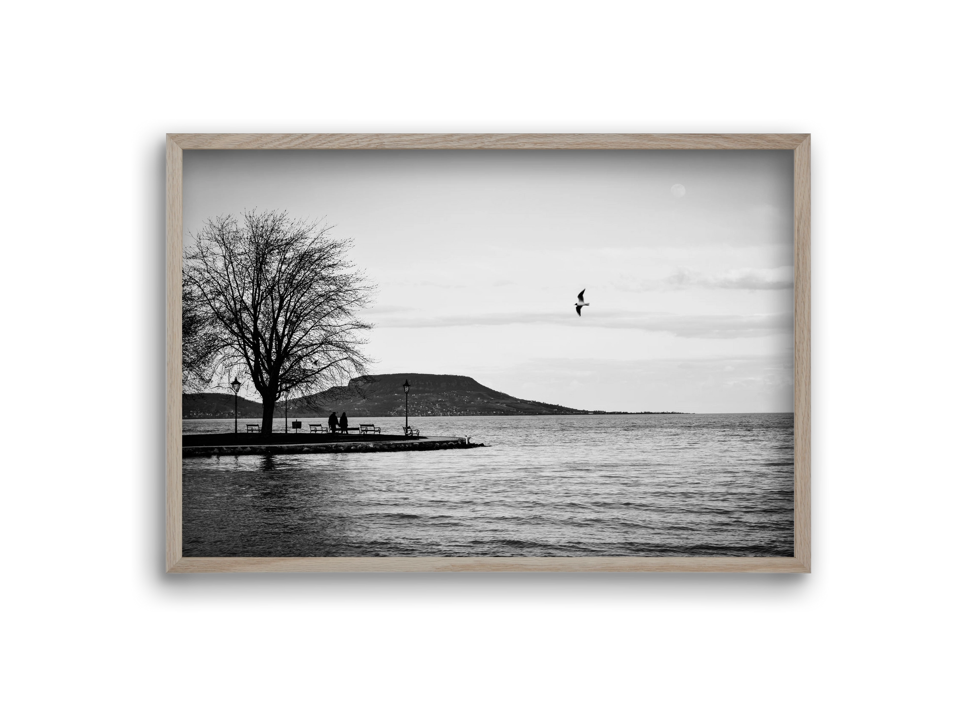 Full moon, 30x20 cm (30x20 cm), Tölgy keret