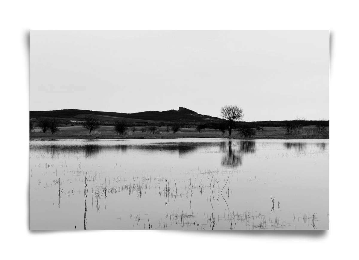 sharp, 60x40 cm, Keret nélkül