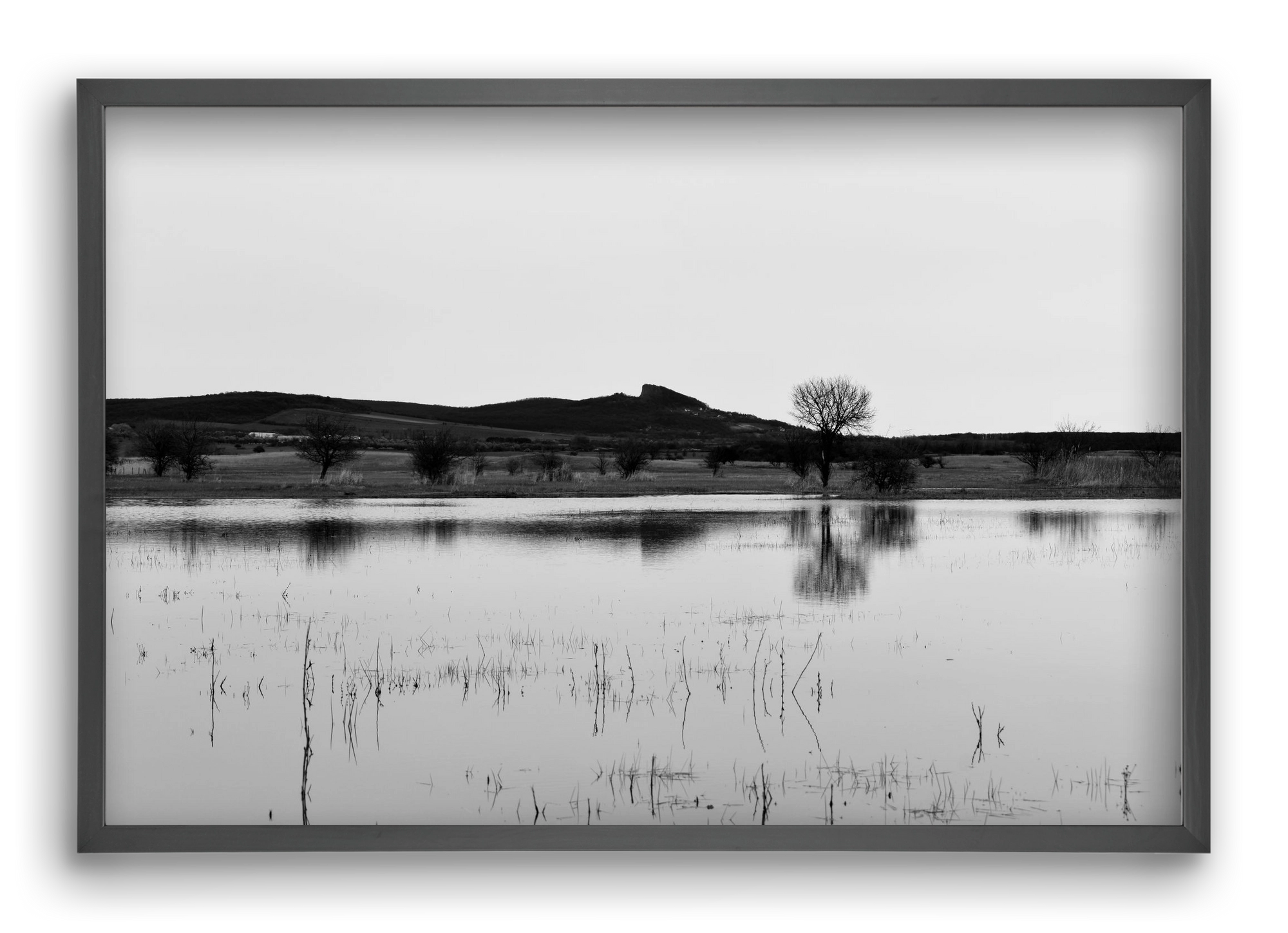 sharp, 60x40 cm (60x40 cm), Fekete keret