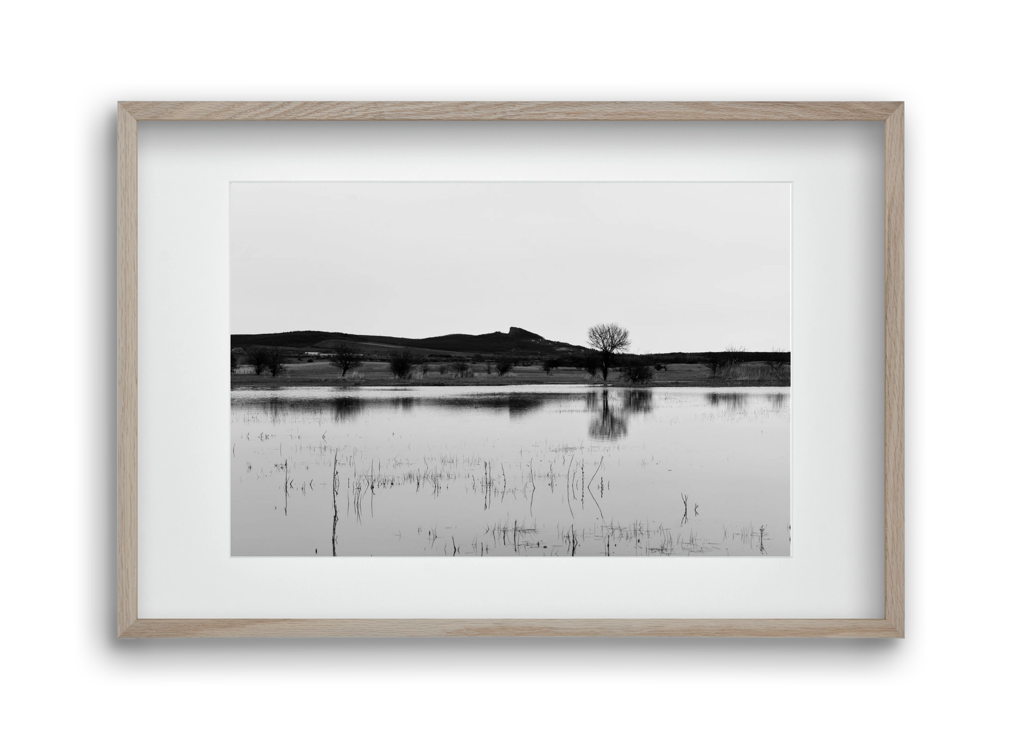 sharp, 45x30 cm (30x20 cm), Tölgy keret, paszpartuval