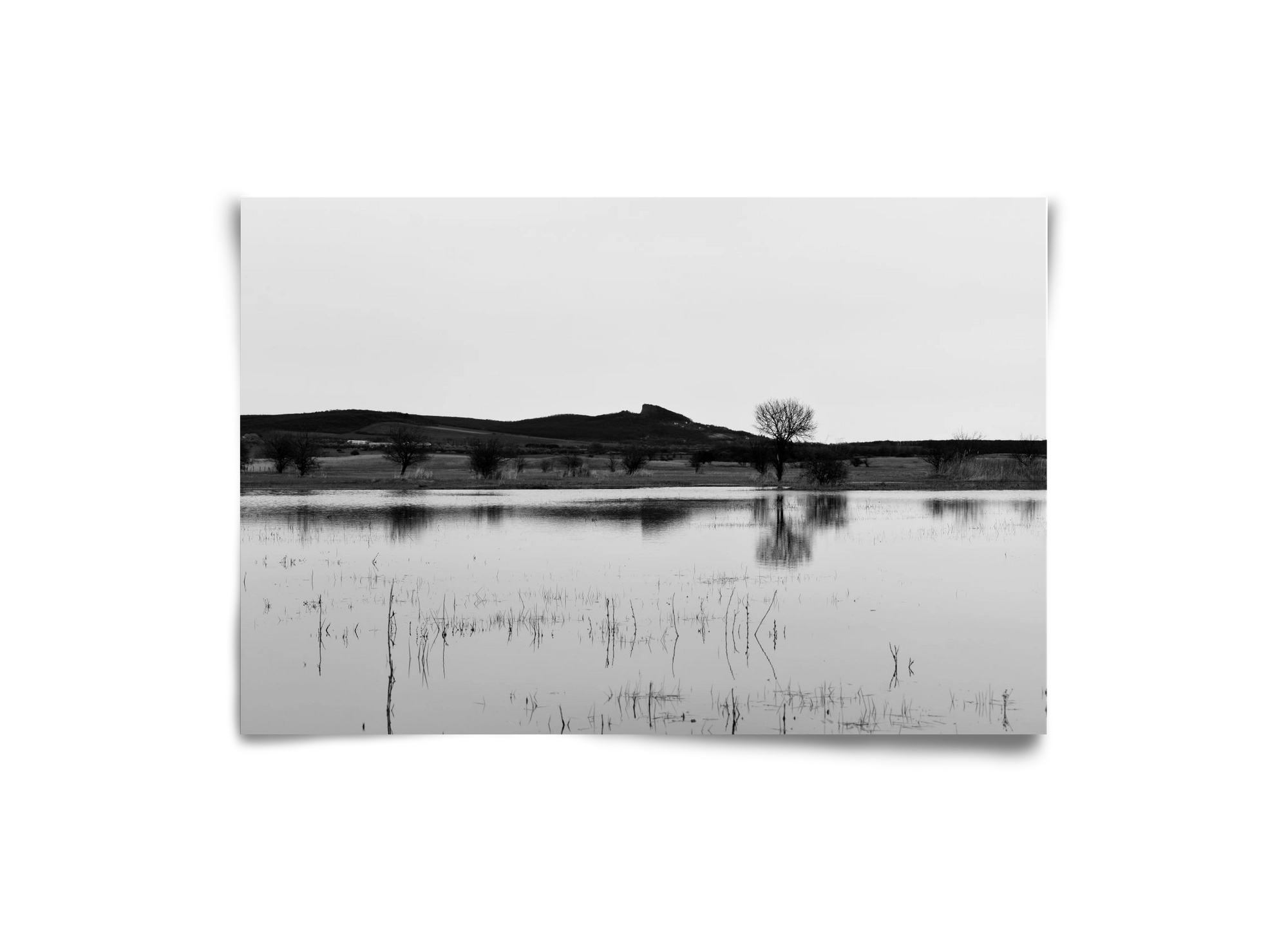 sharp, 30x20 cm, Keret nélkül