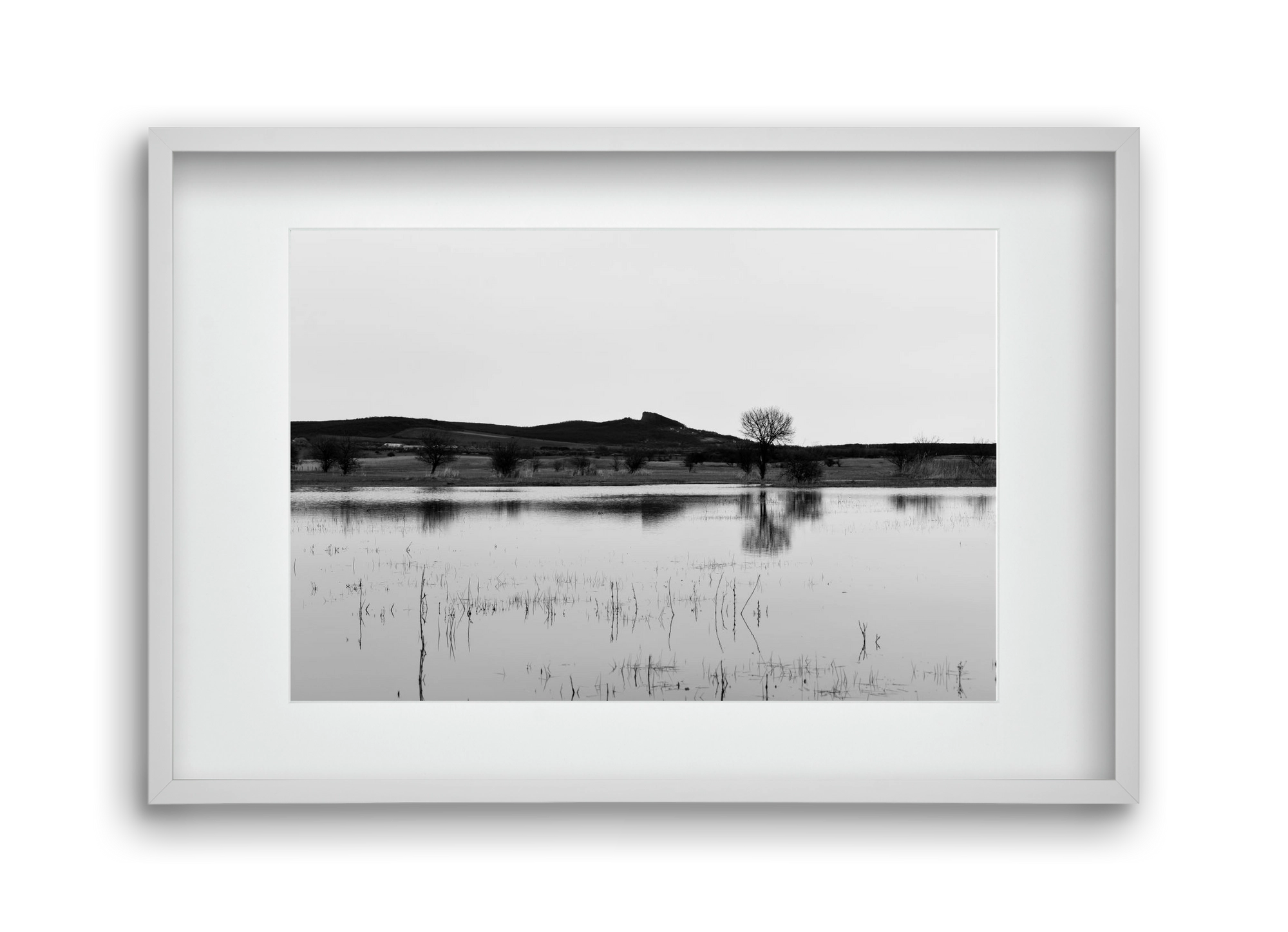 sharp, 45x30 cm (30x20 cm), Fehér keret, paszpartuval