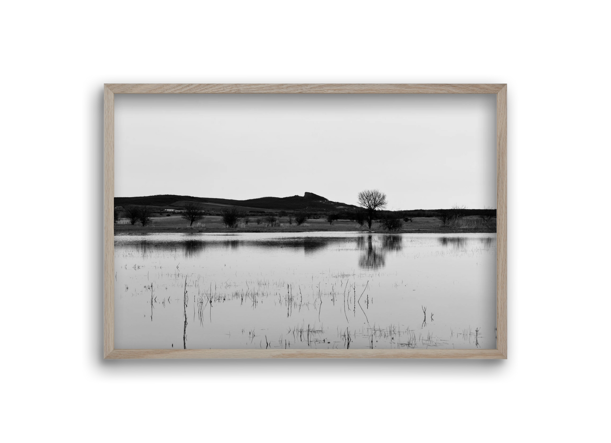 sharp, 30x20 cm (30x20 cm), Tölgy keret