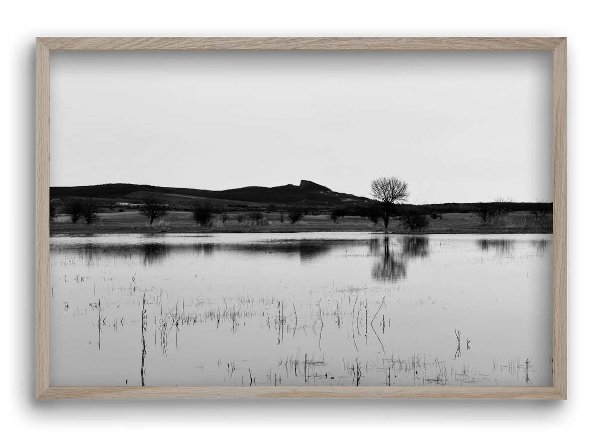 sharp, 60x40 cm (60x40 cm), Tölgy keret