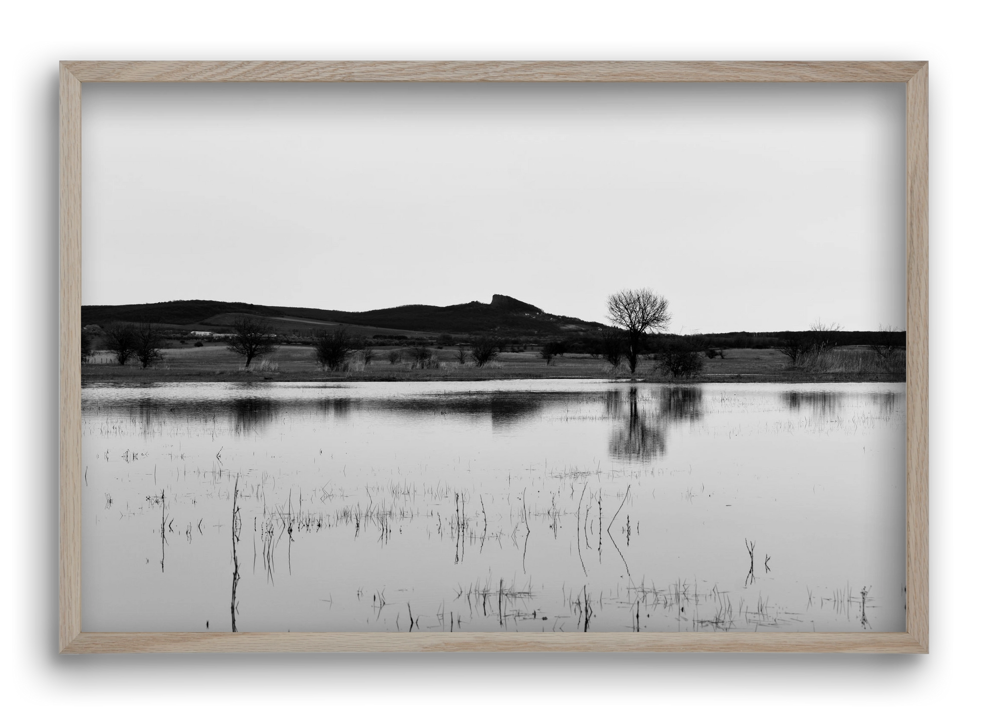 sharp, 60x40 cm (60x40 cm), Tölgy keret