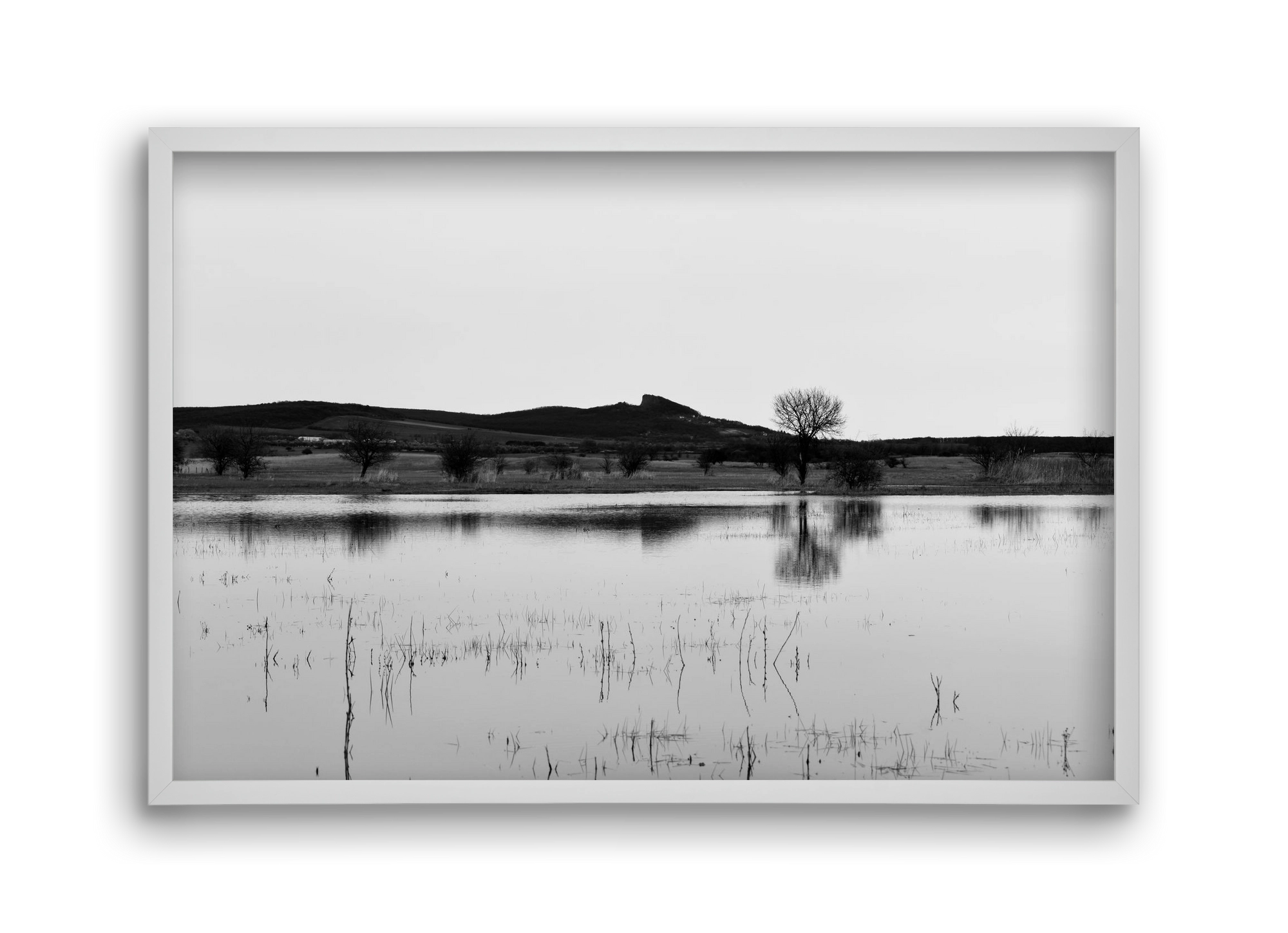 sharp, 45x30 cm (45x30 cm), Fehér keret