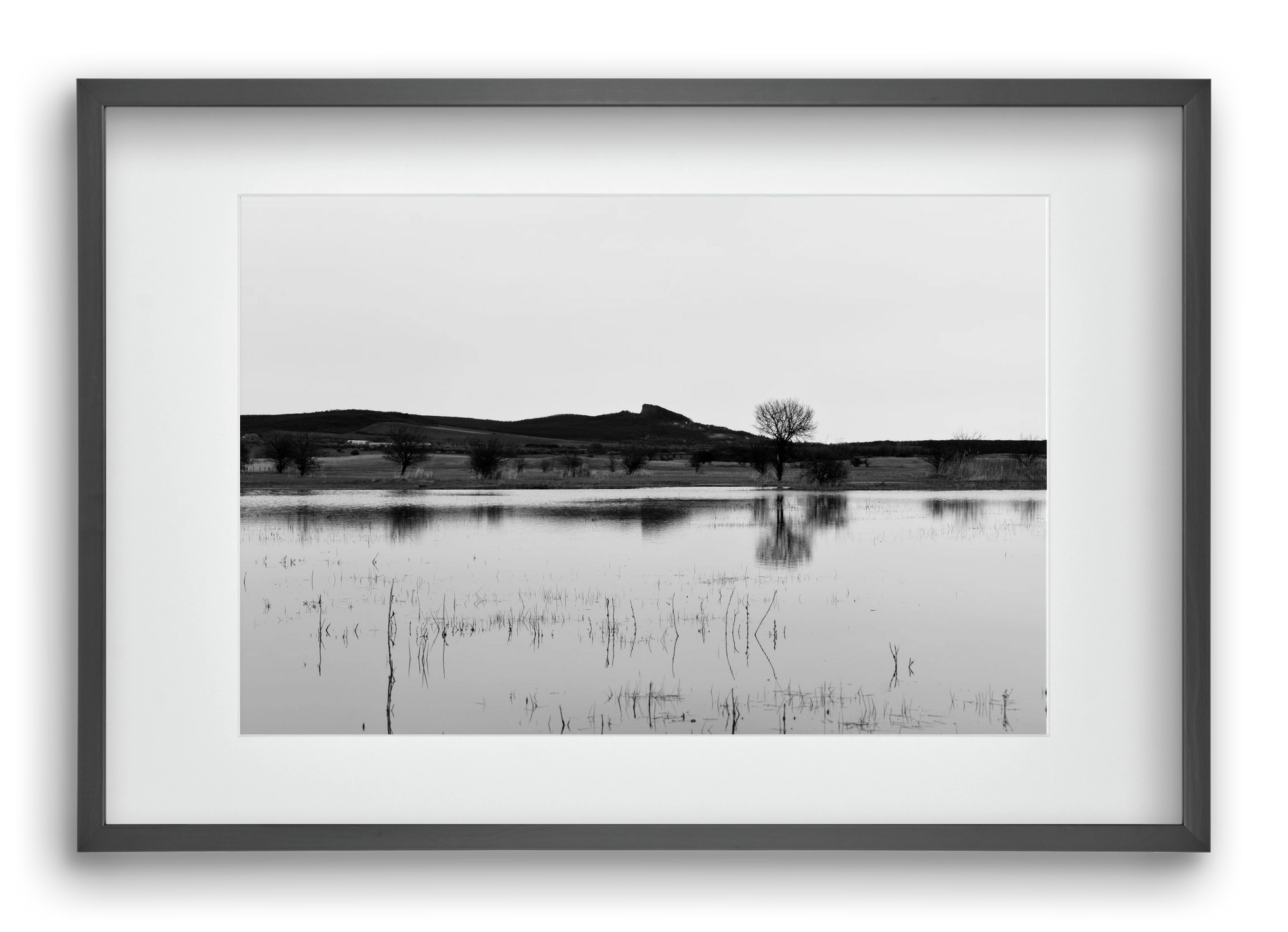 sharp, 60x40 cm (45x30 cm), Fekete keret, paszpartuval