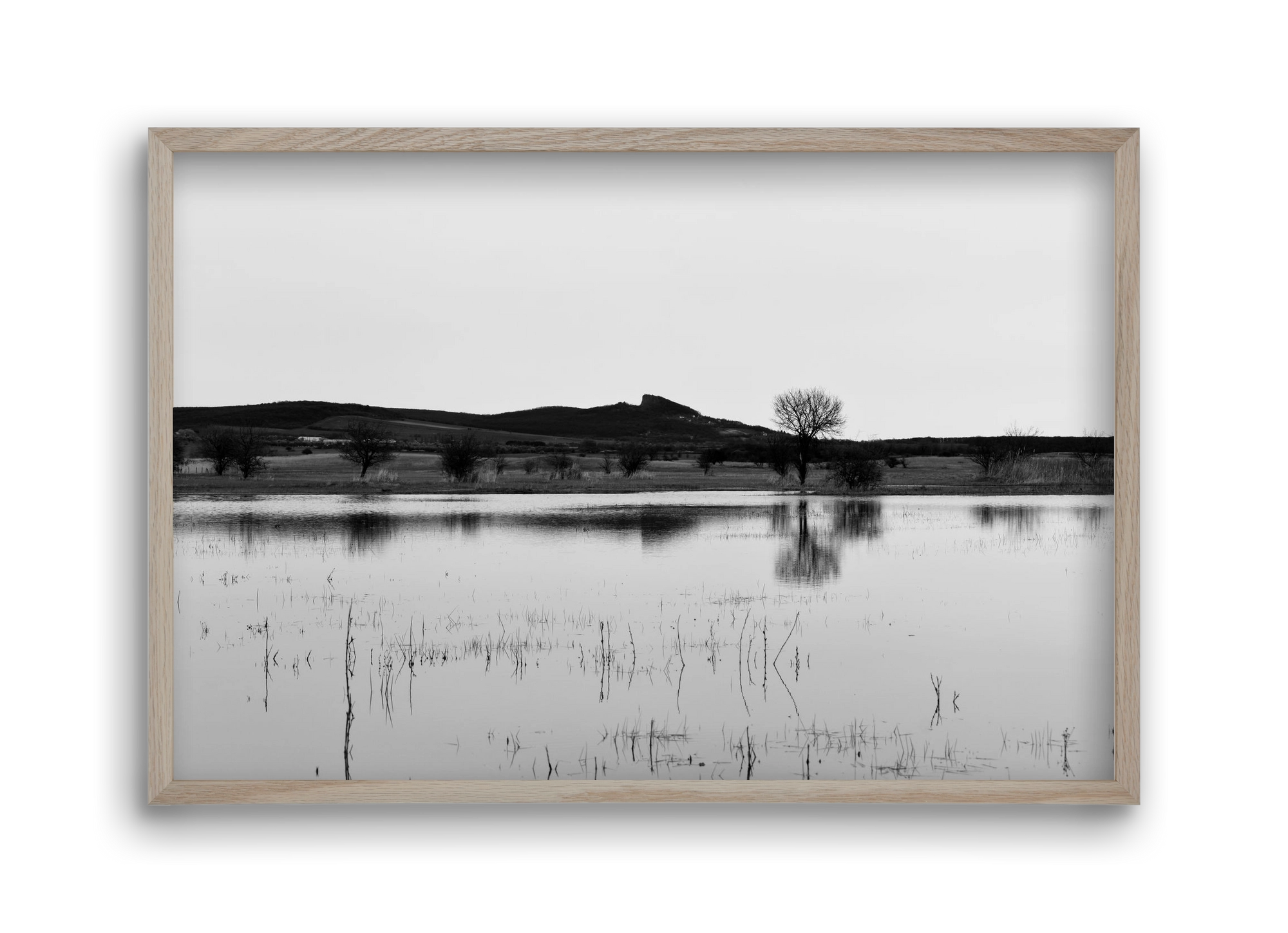 sharp, 45x30 cm (45x30 cm), Tölgy keret