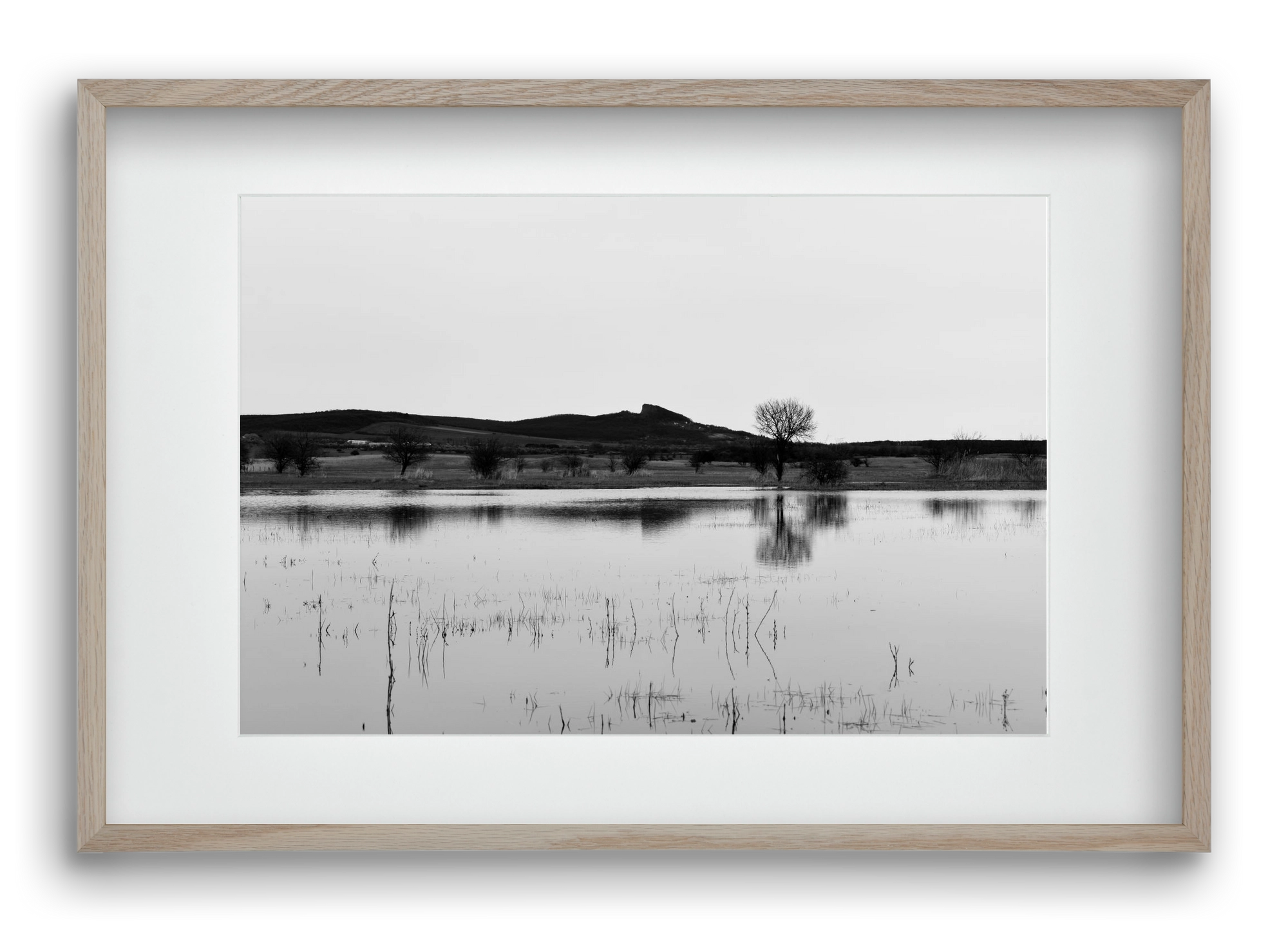 sharp, 60x40 cm (45x30 cm), Tölgy keret, paszpartuval