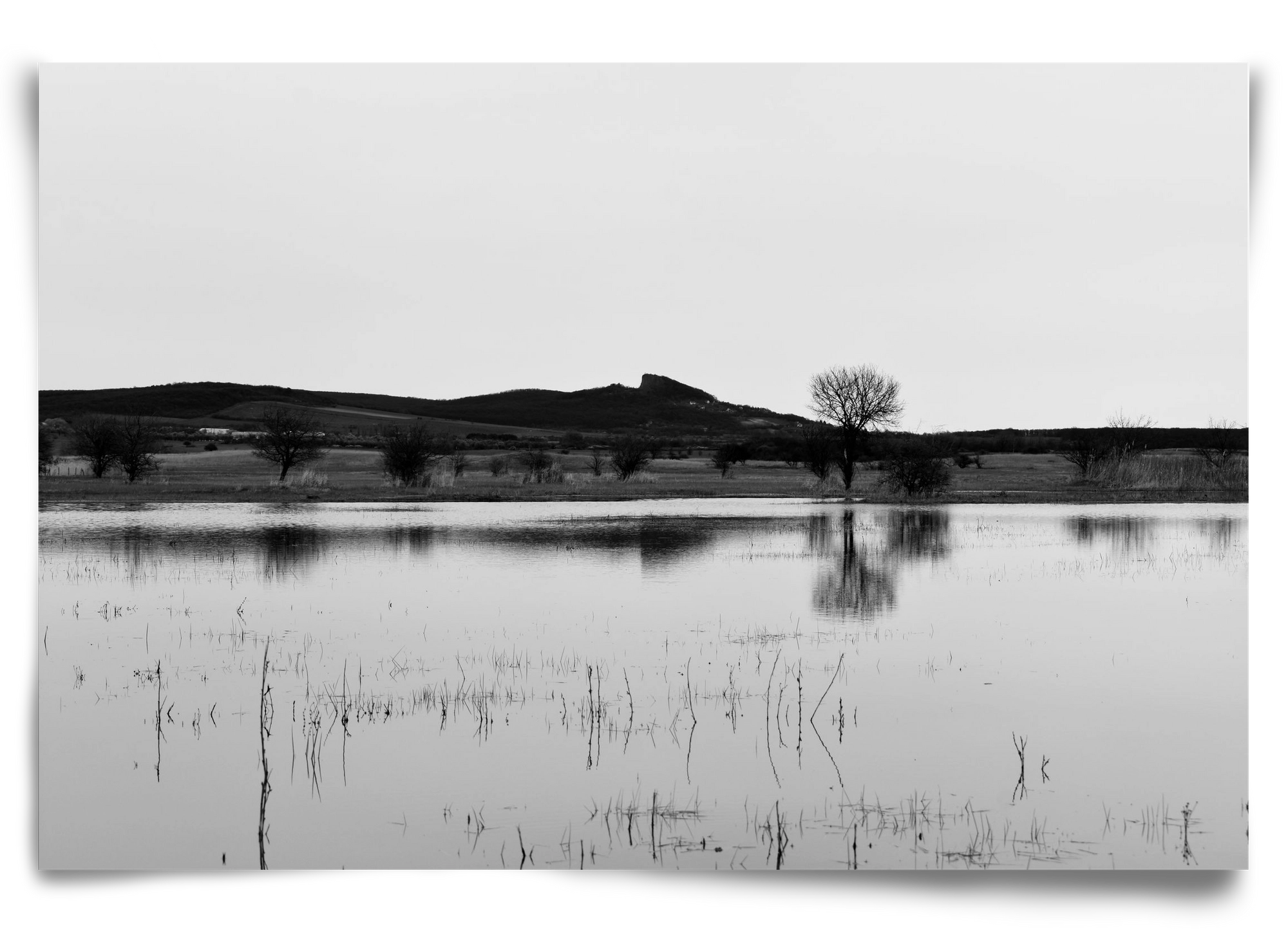 sharp, 90x60 cm, Keret nélkül