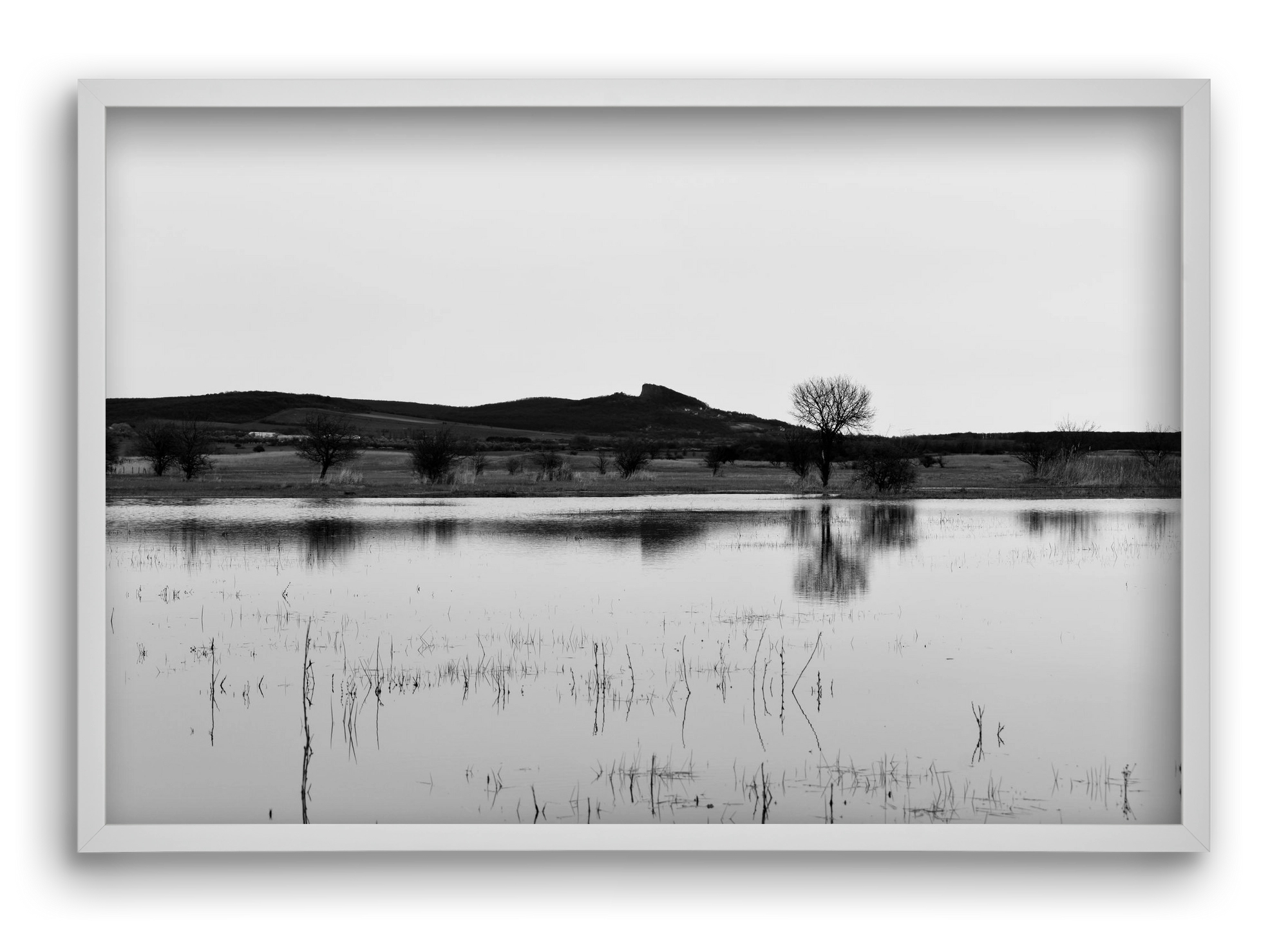 sharp, 60x40 cm (60x40 cm), Fehér keret