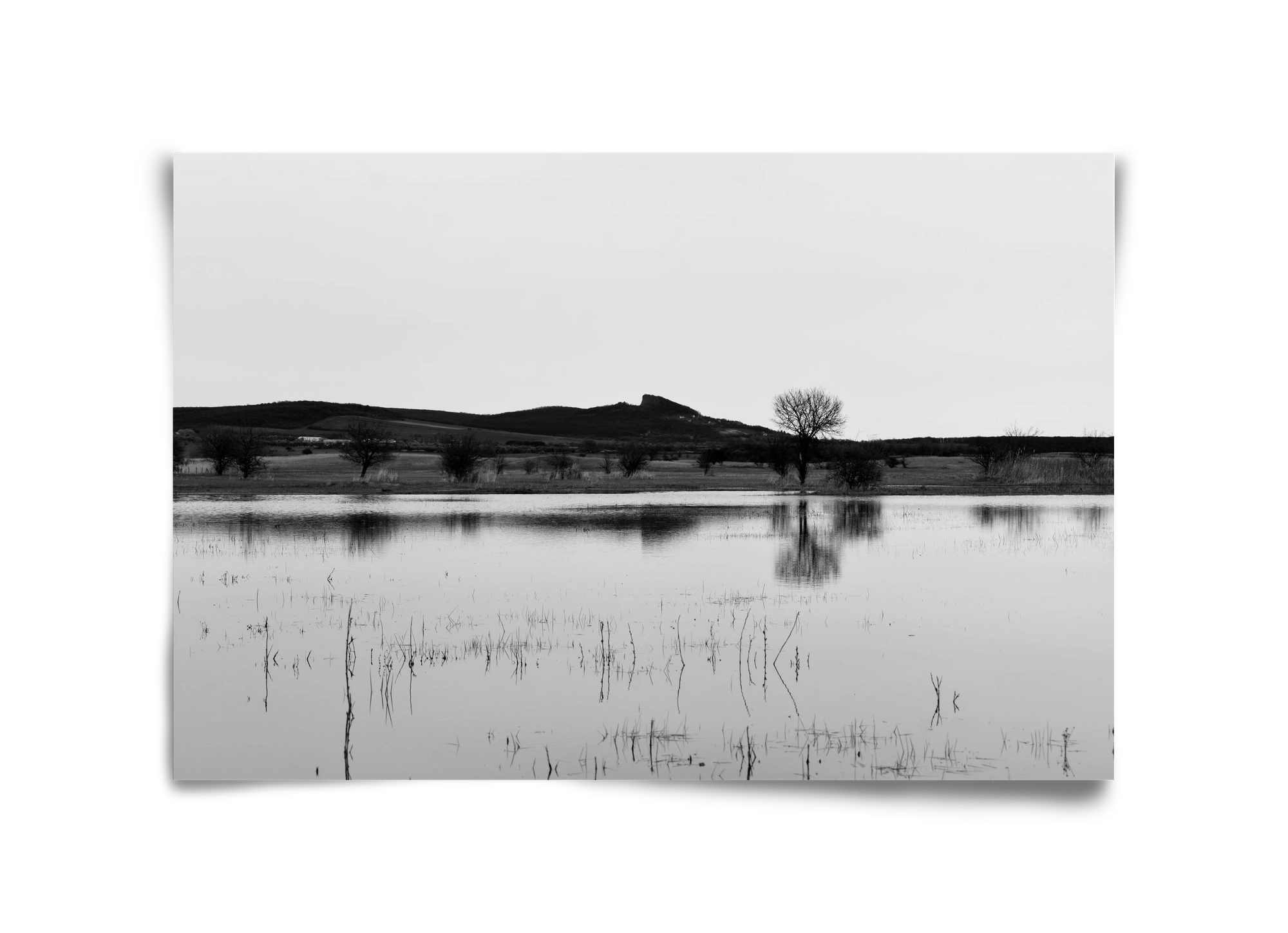 sharp, 45x30 cm, Keret nélkül