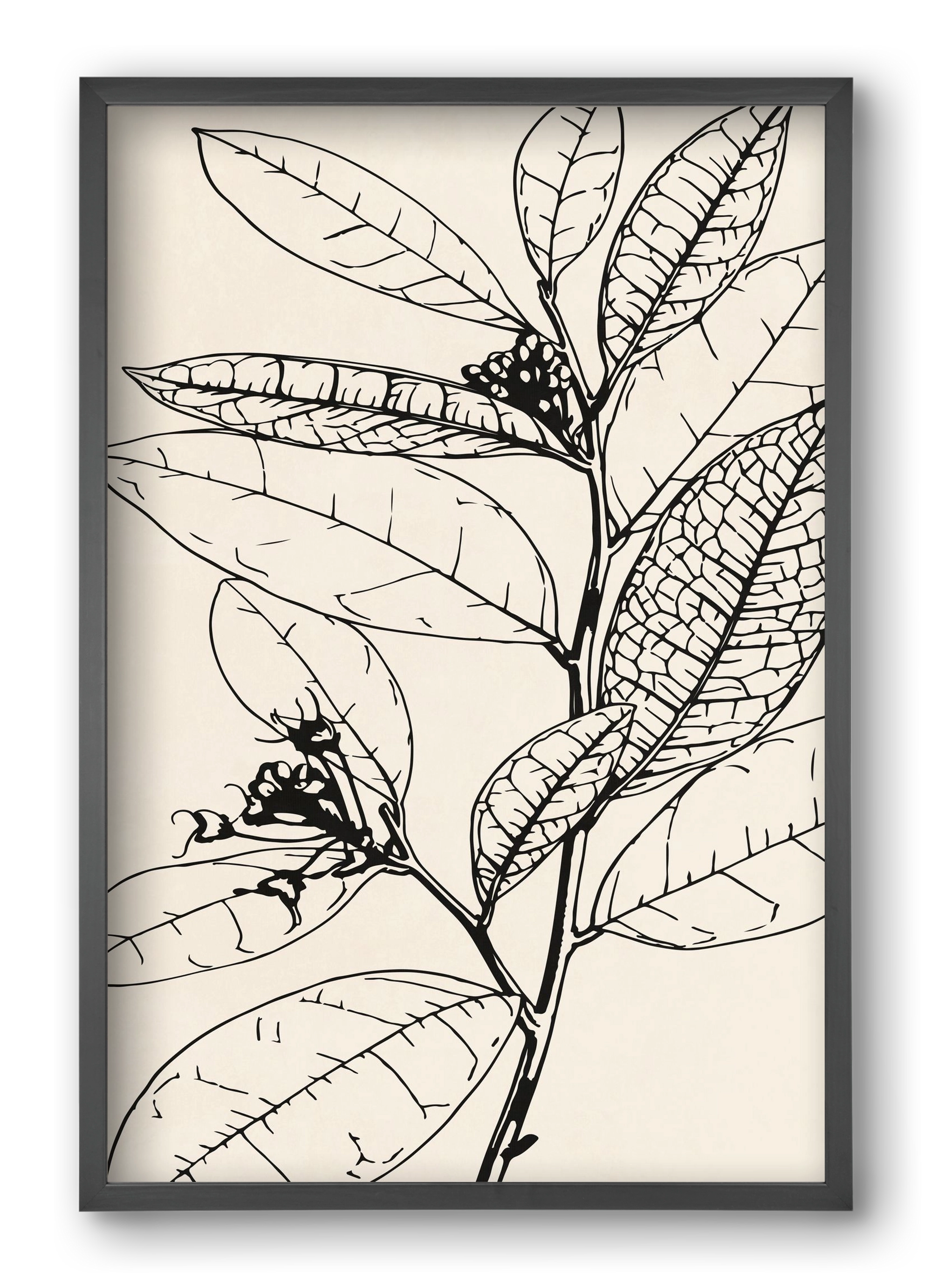 MINIMAL PLANT 02, 40x60 cm (40x60 cm), Fekete keret