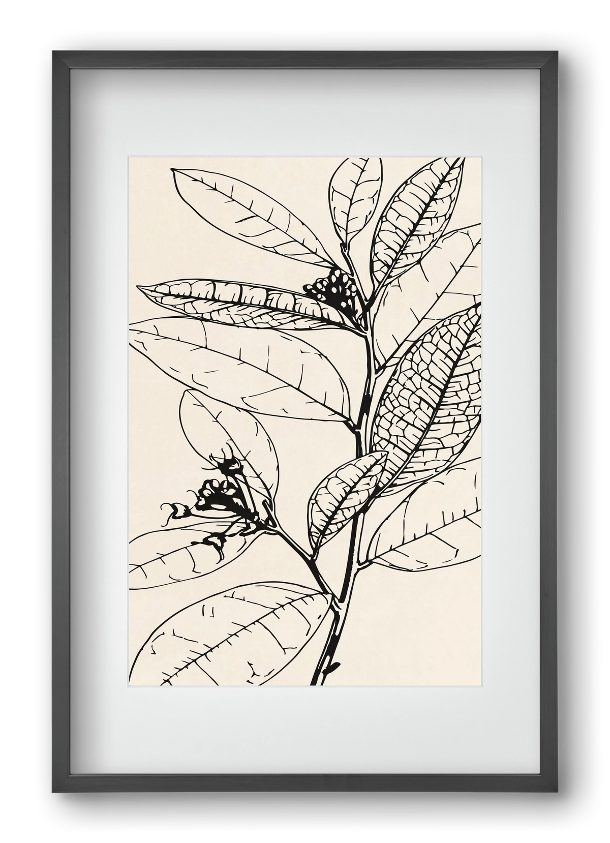 MINIMAL PLANT 02, 40x60 cm (30x45 cm), Fekete keret, paszpartuval