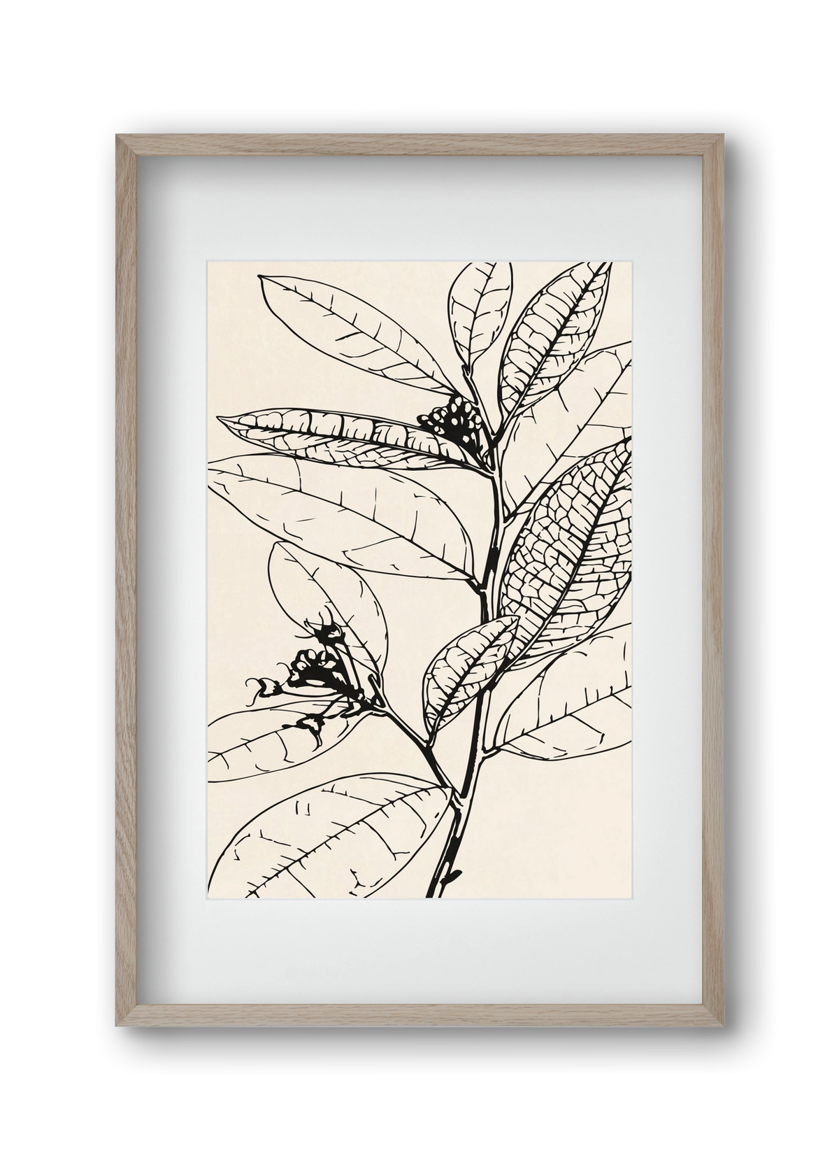 MINIMAL PLANT 02, 30x45 cm (20x30 cm), Tölgy keret, paszpartuval