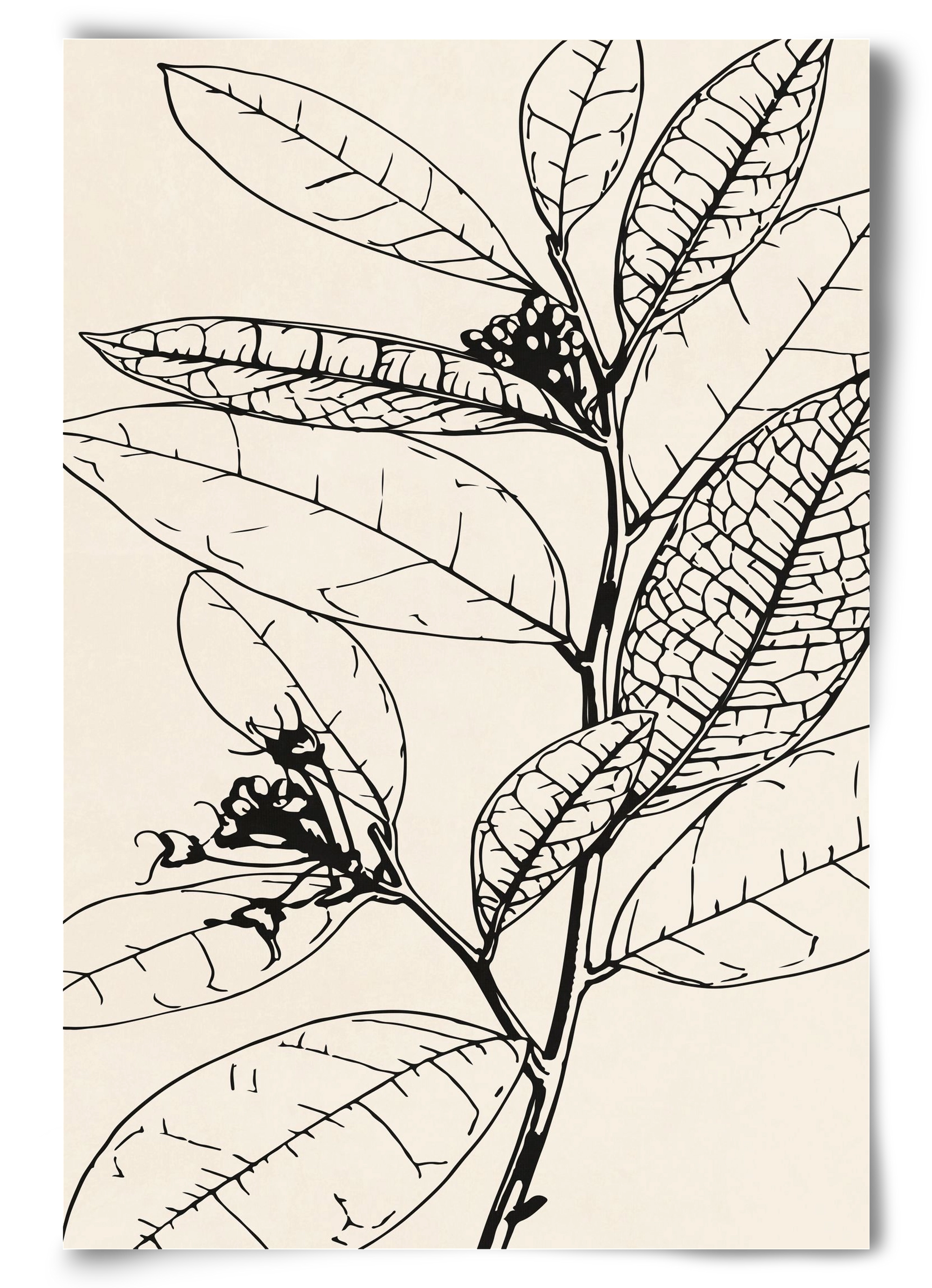 MINIMAL PLANT 02, 60x90 cm, Keret nélkül