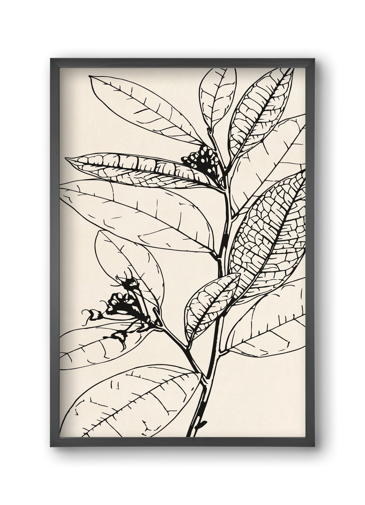 MINIMAL PLANT 02, 30x45 cm (30x45 cm), Fekete keret