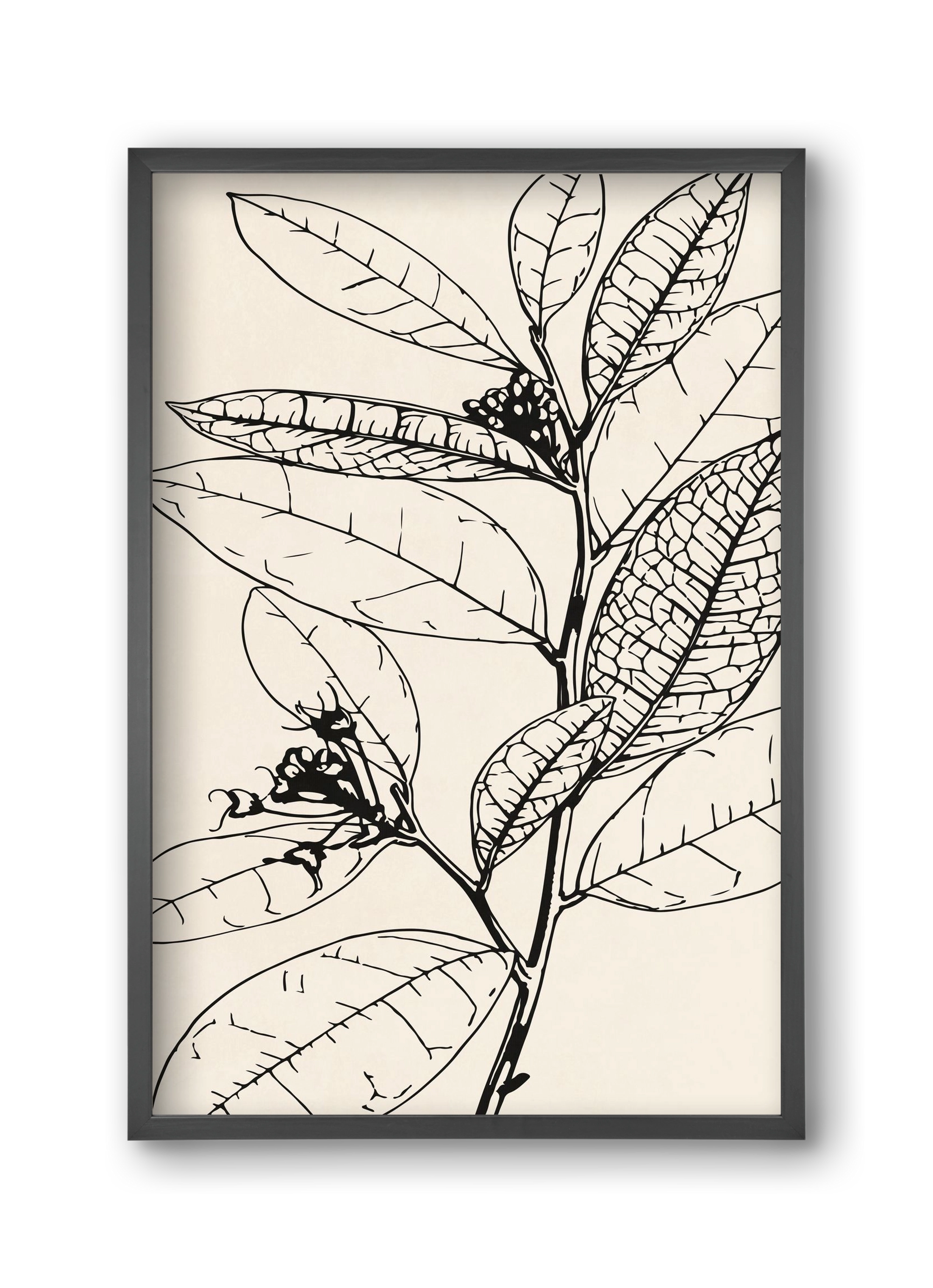 MINIMAL PLANT 02, 30x45 cm (30x45 cm), Fekete keret