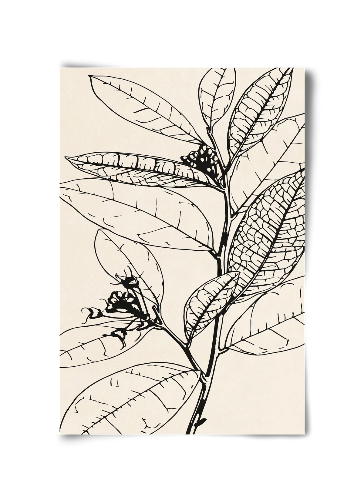 MINIMAL PLANT 02, 30x45 cm, Keret nélkül