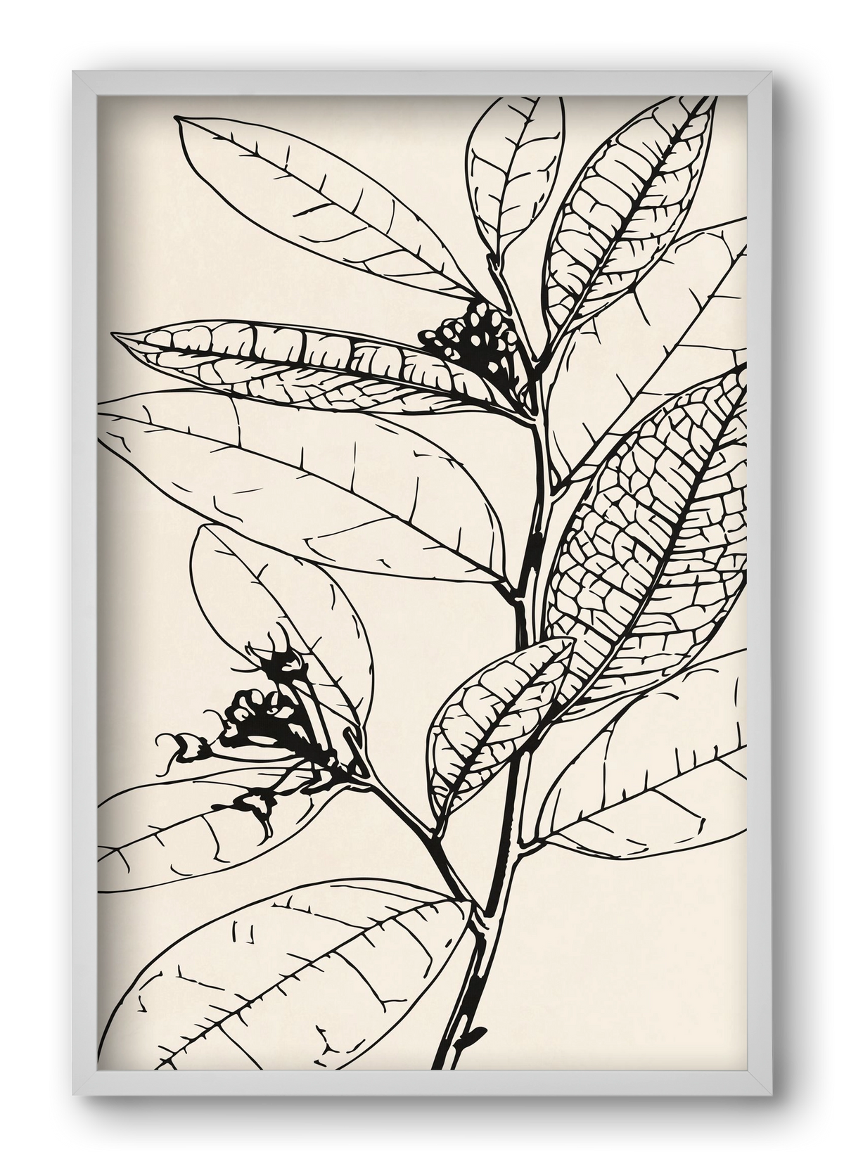 MINIMAL PLANT 02, 40x60 cm (40x60 cm), Fehér keret