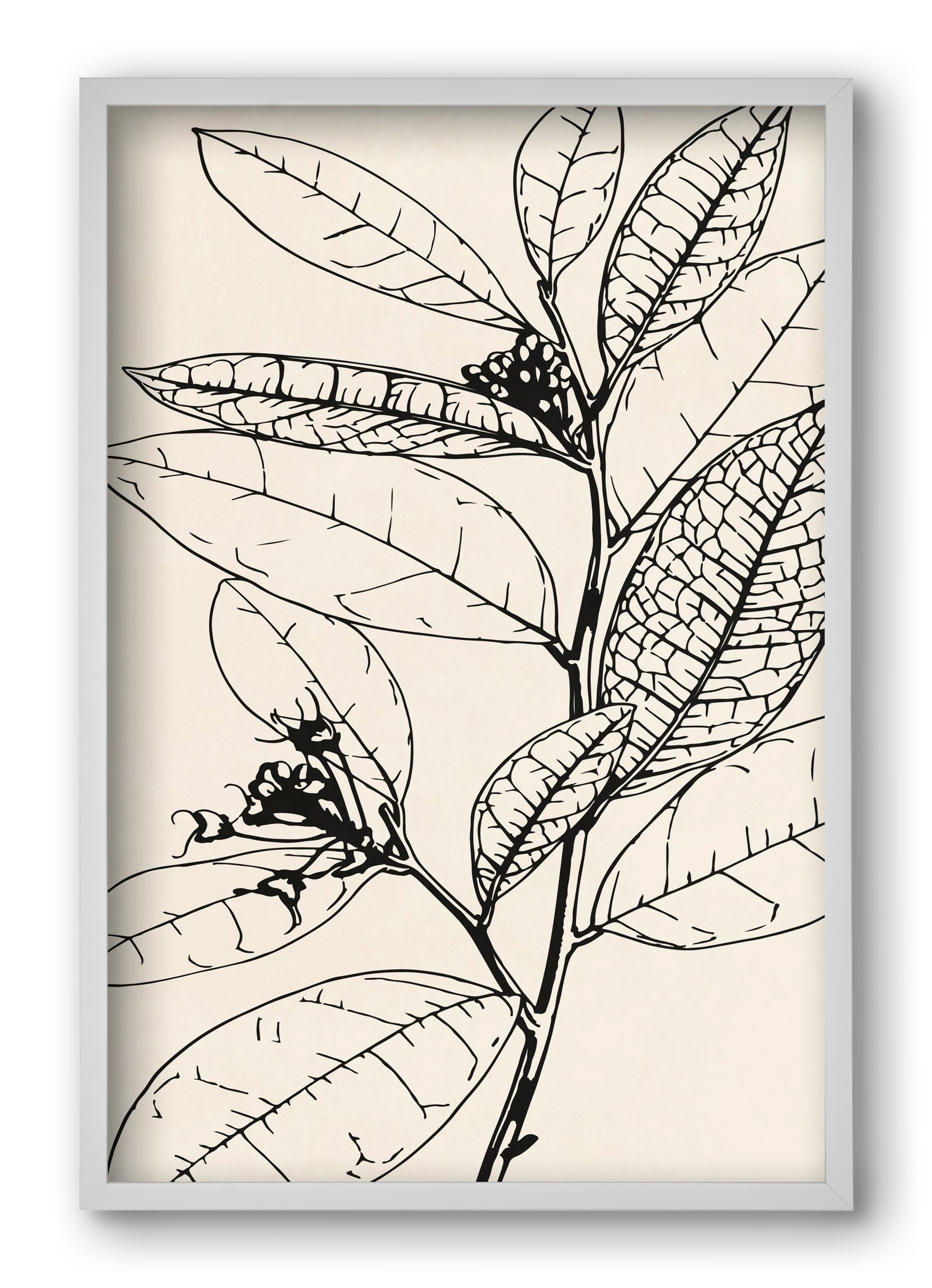 MINIMAL PLANT 02, 40x60 cm (40x60 cm), Fehér keret