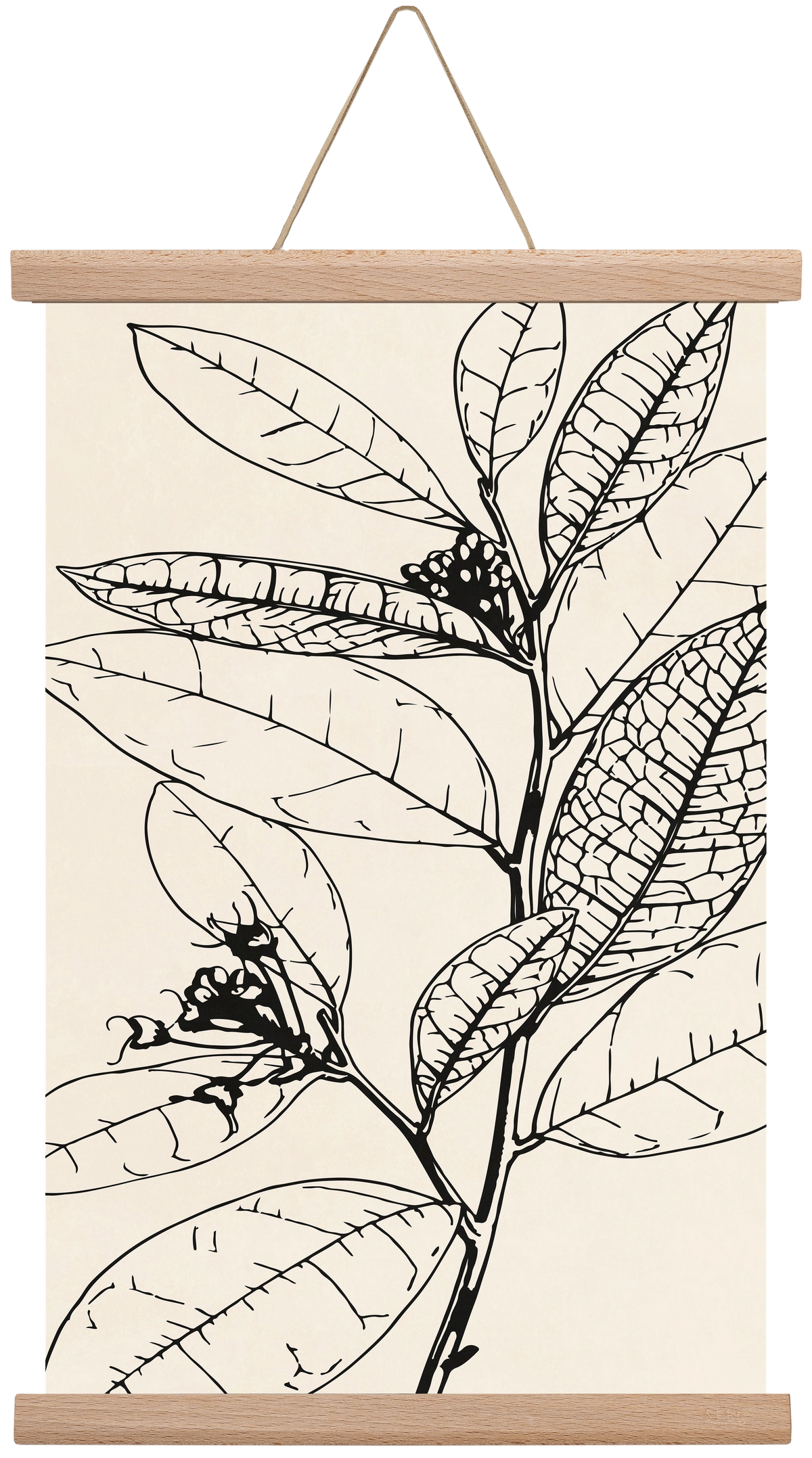 MINIMAL PLANT 02, 30x45 cm (30x45 cm), Tölgy akasztó