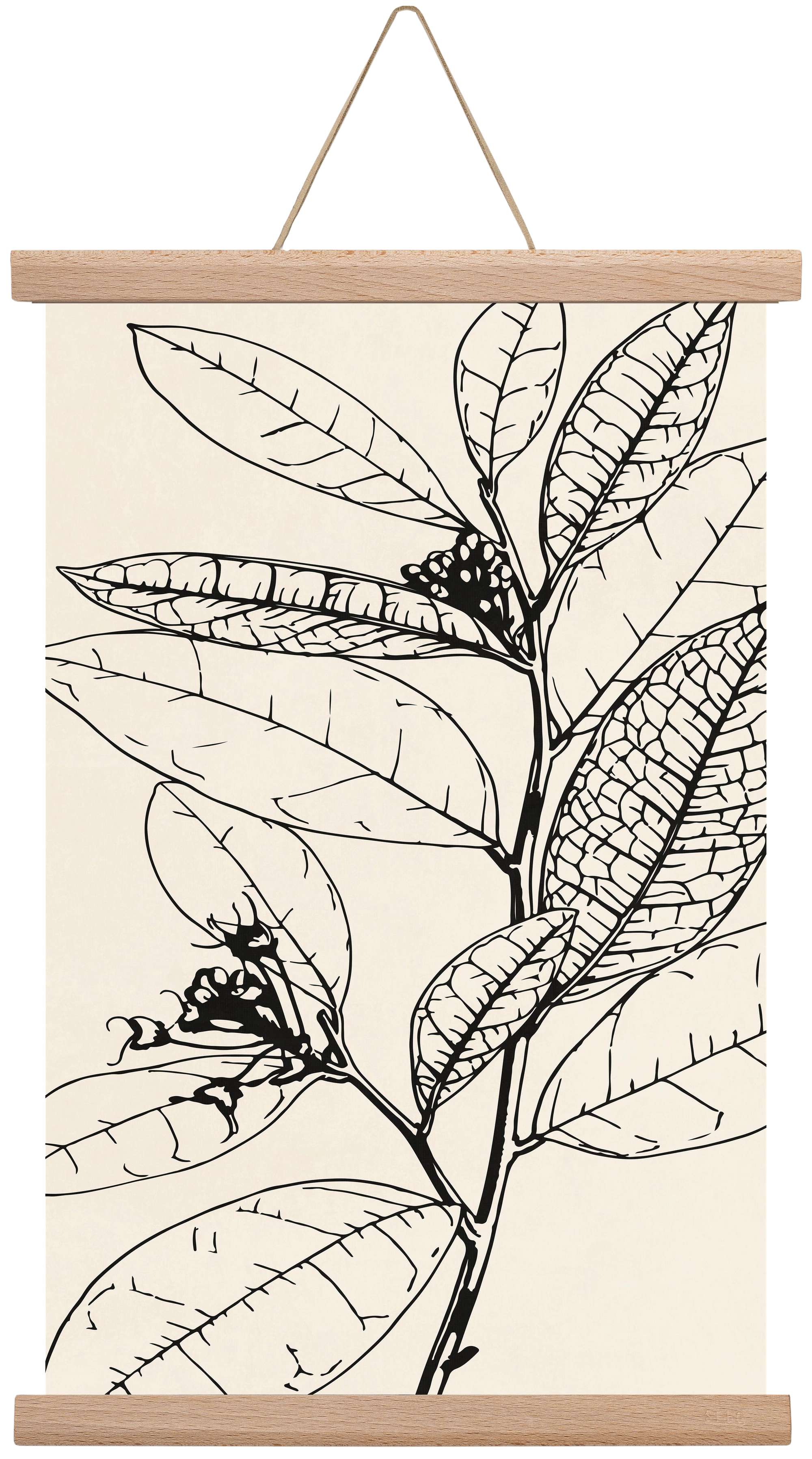 MINIMAL PLANT 02, 30x45 cm (30x45 cm), Tölgy akasztó