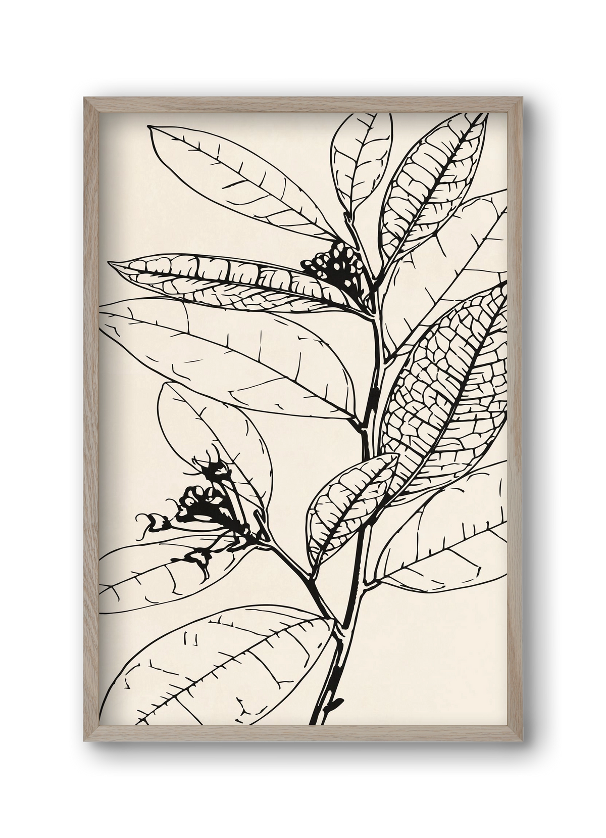 MINIMAL PLANT 02, 30x45 cm (30x45 cm), Tölgy keret