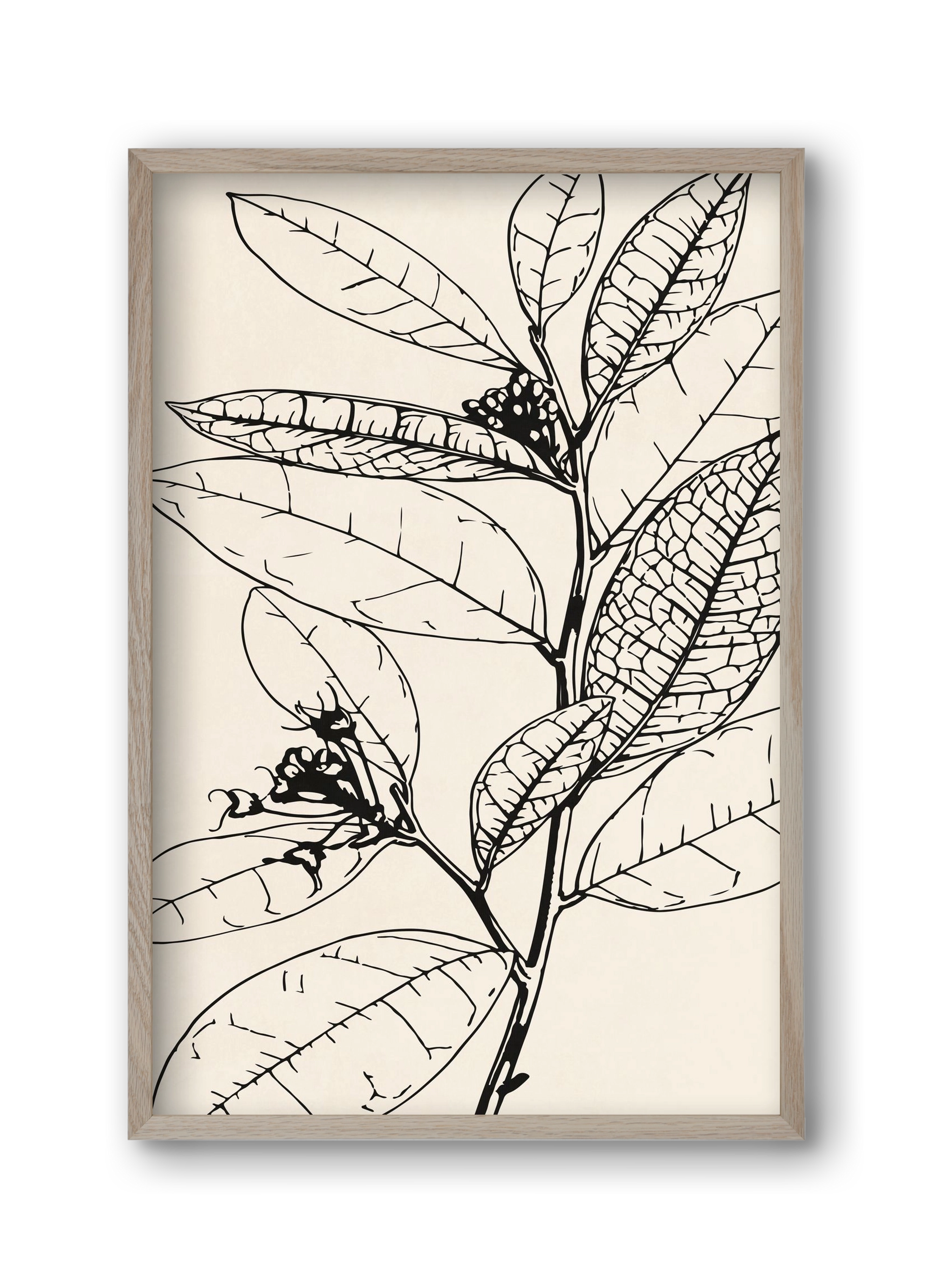 MINIMAL PLANT 02, 30x45 cm (30x45 cm), Tölgy keret