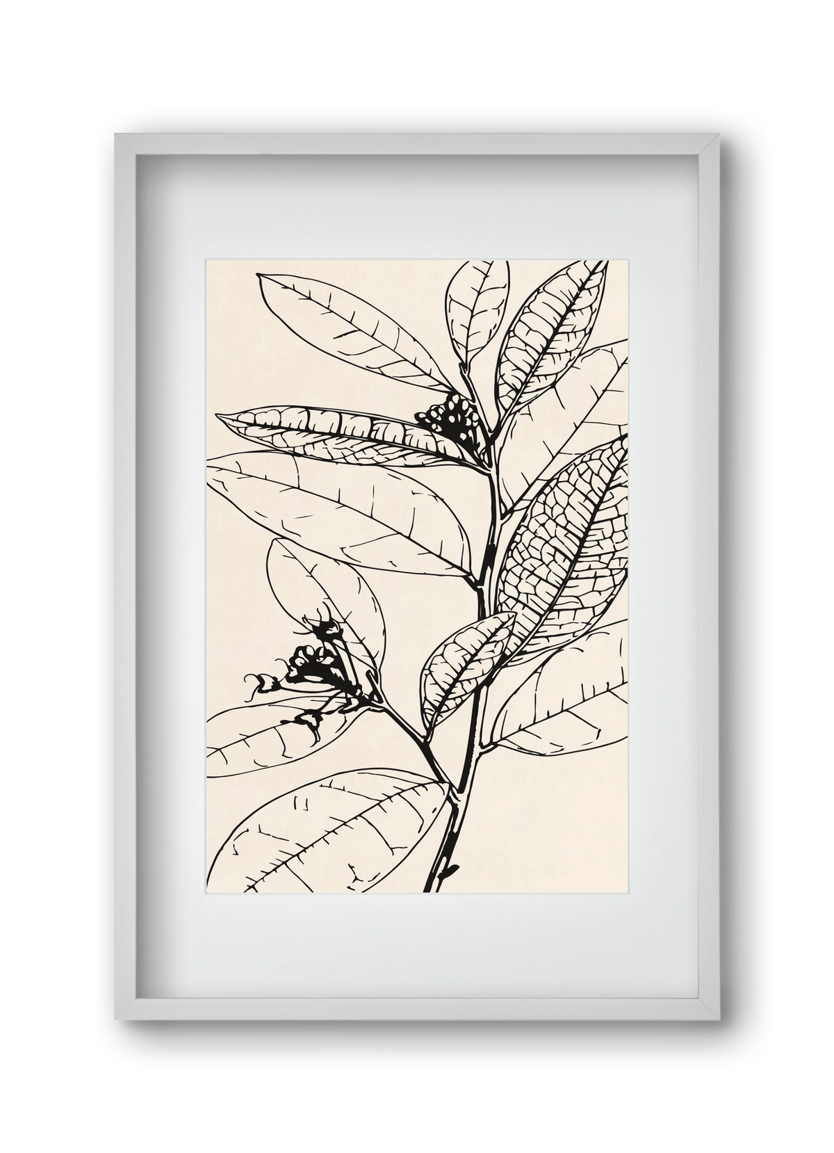 MINIMAL PLANT 02, 30x45 cm (20x30 cm), Fehér keret, paszpartuval