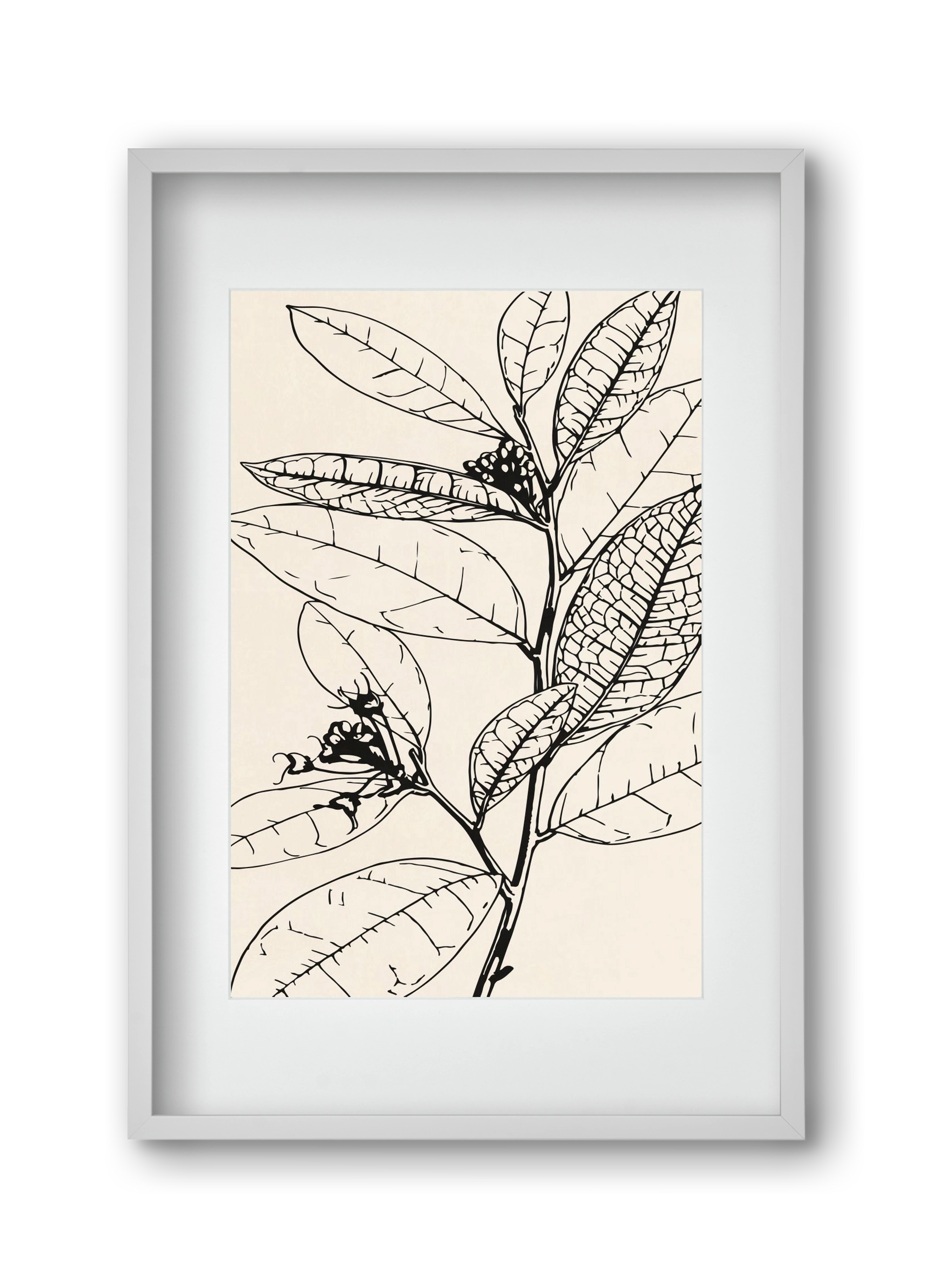 MINIMAL PLANT 02, 30x45 cm (20x30 cm), Fehér keret, paszpartuval