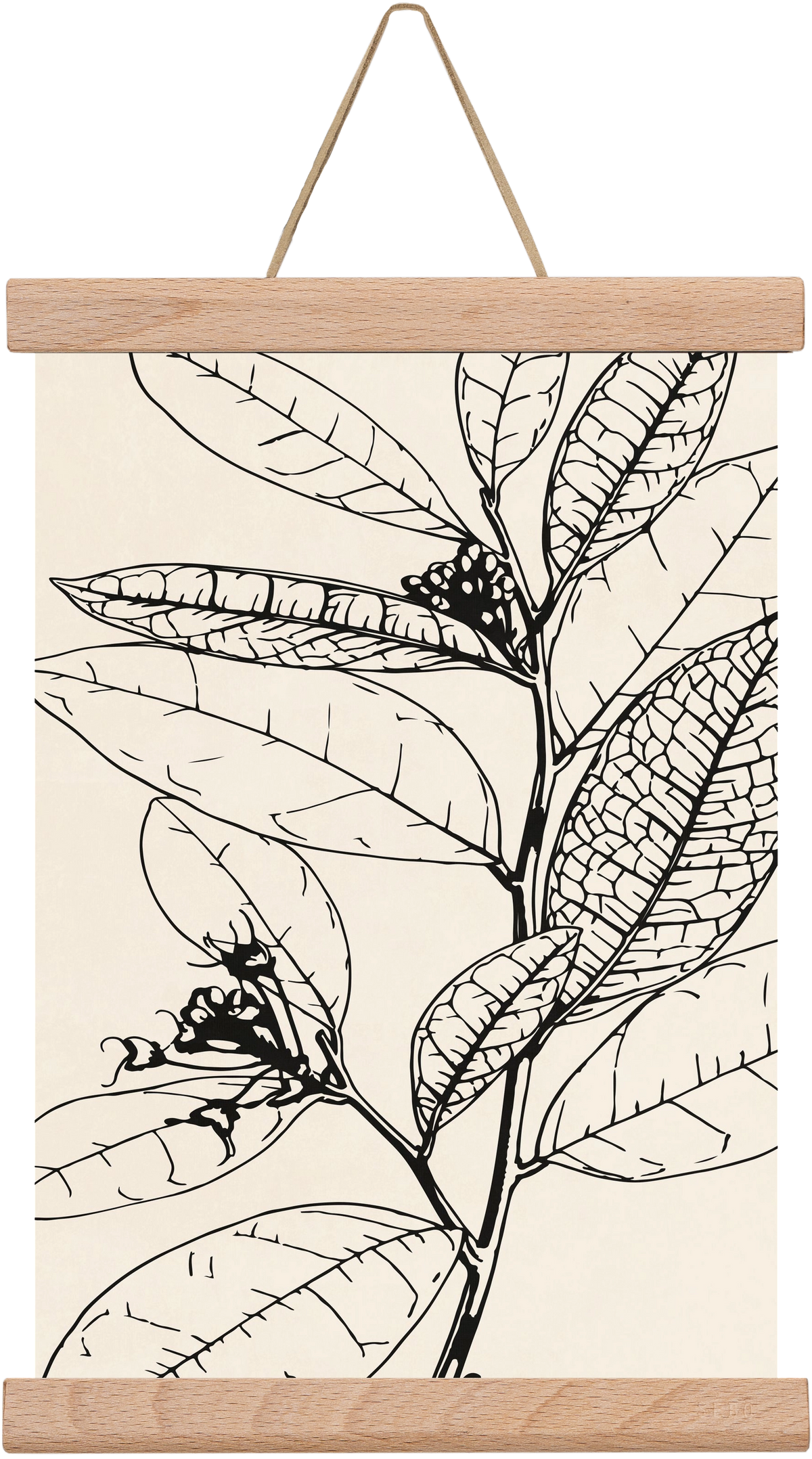 MINIMAL PLANT 02, 20x30 cm (20x30 cm), Tölgy akasztó