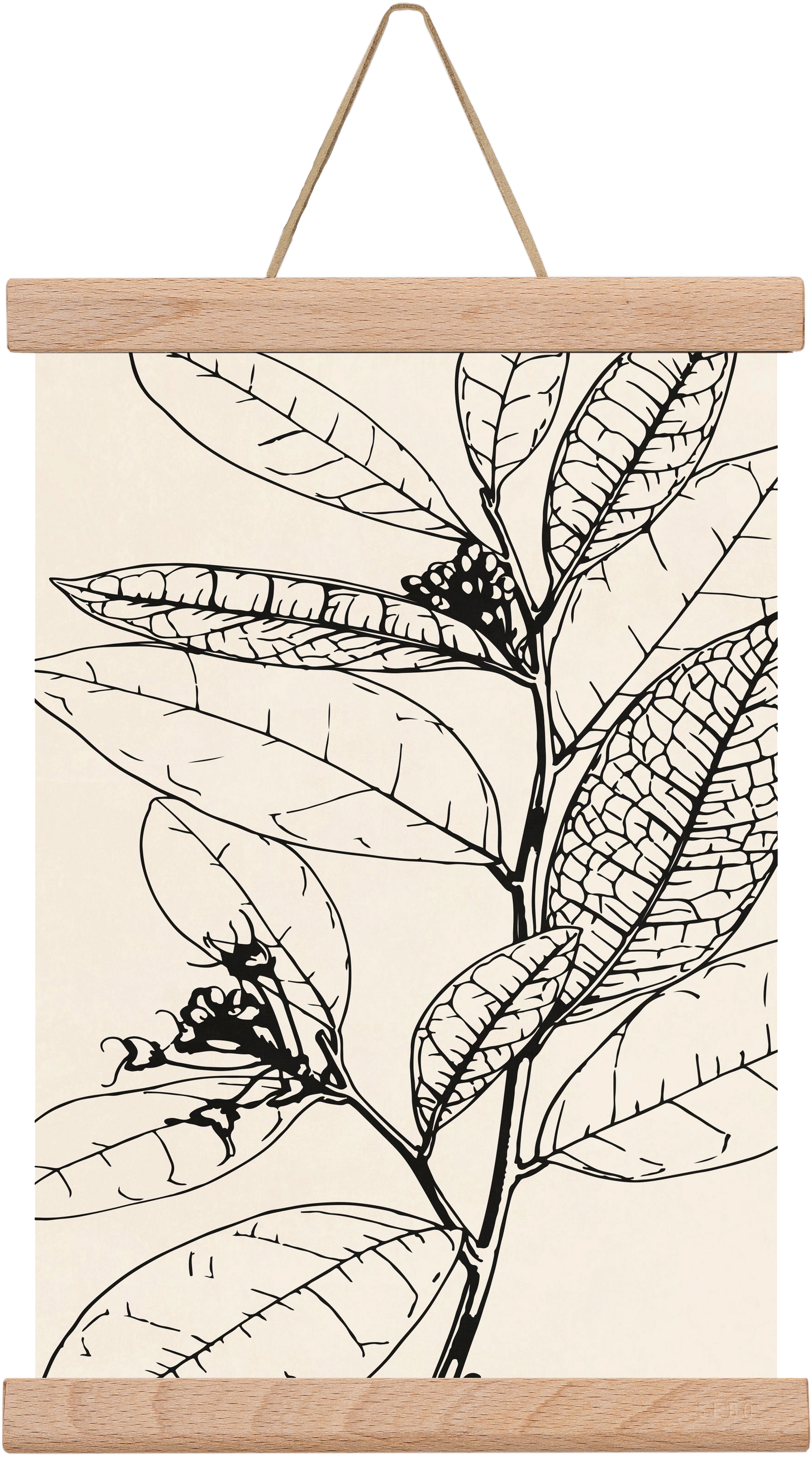 MINIMAL PLANT 02, 20x30 cm (20x30 cm), Tölgy akasztó