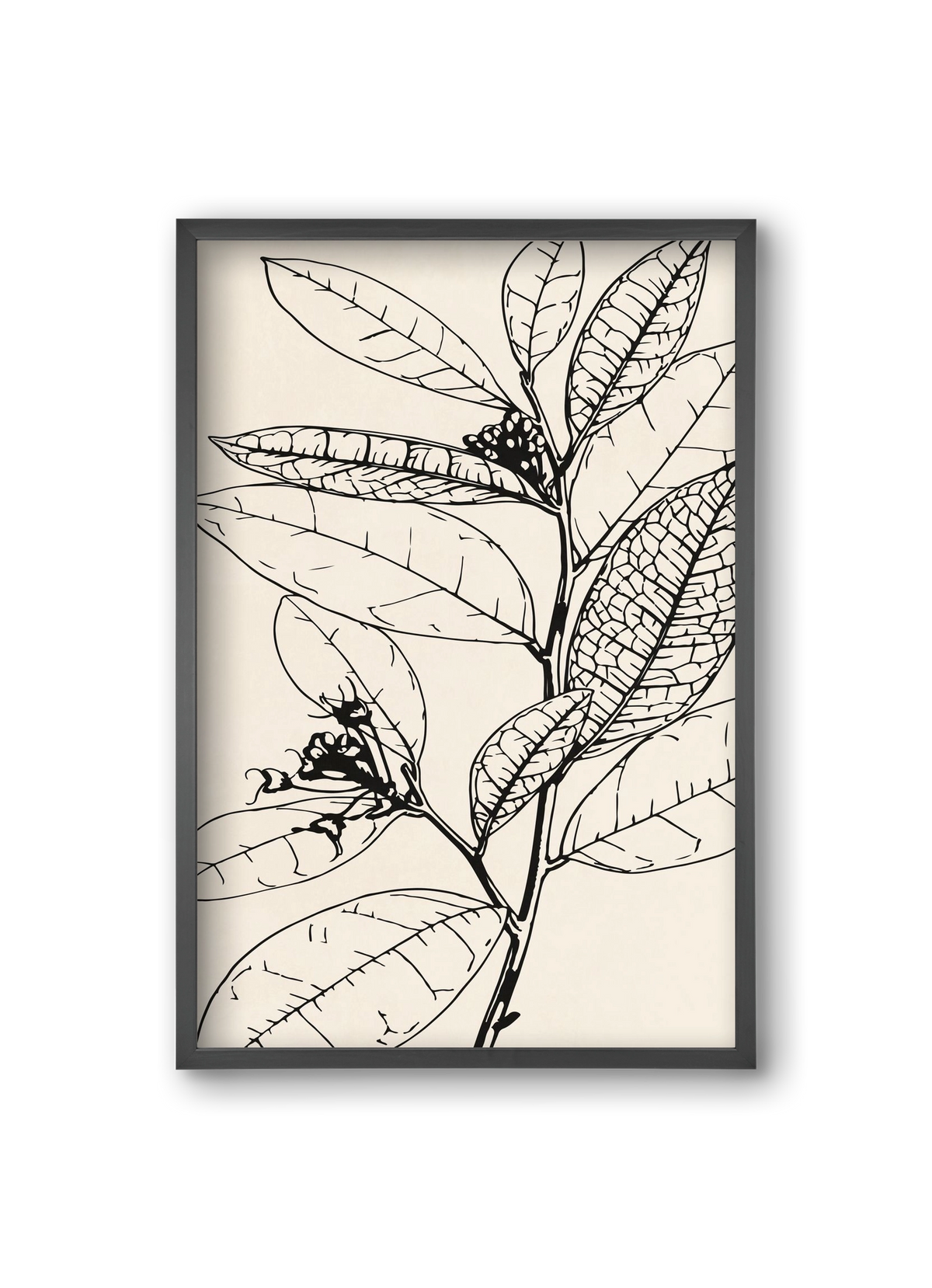 MINIMAL PLANT 02, 20x30 cm (20x30 cm), Fekete keret