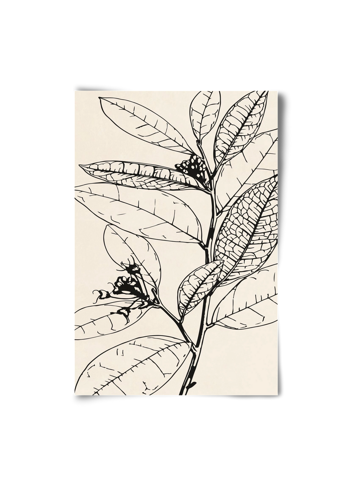 MINIMAL PLANT 02, 20x30 cm, Keret nélkül