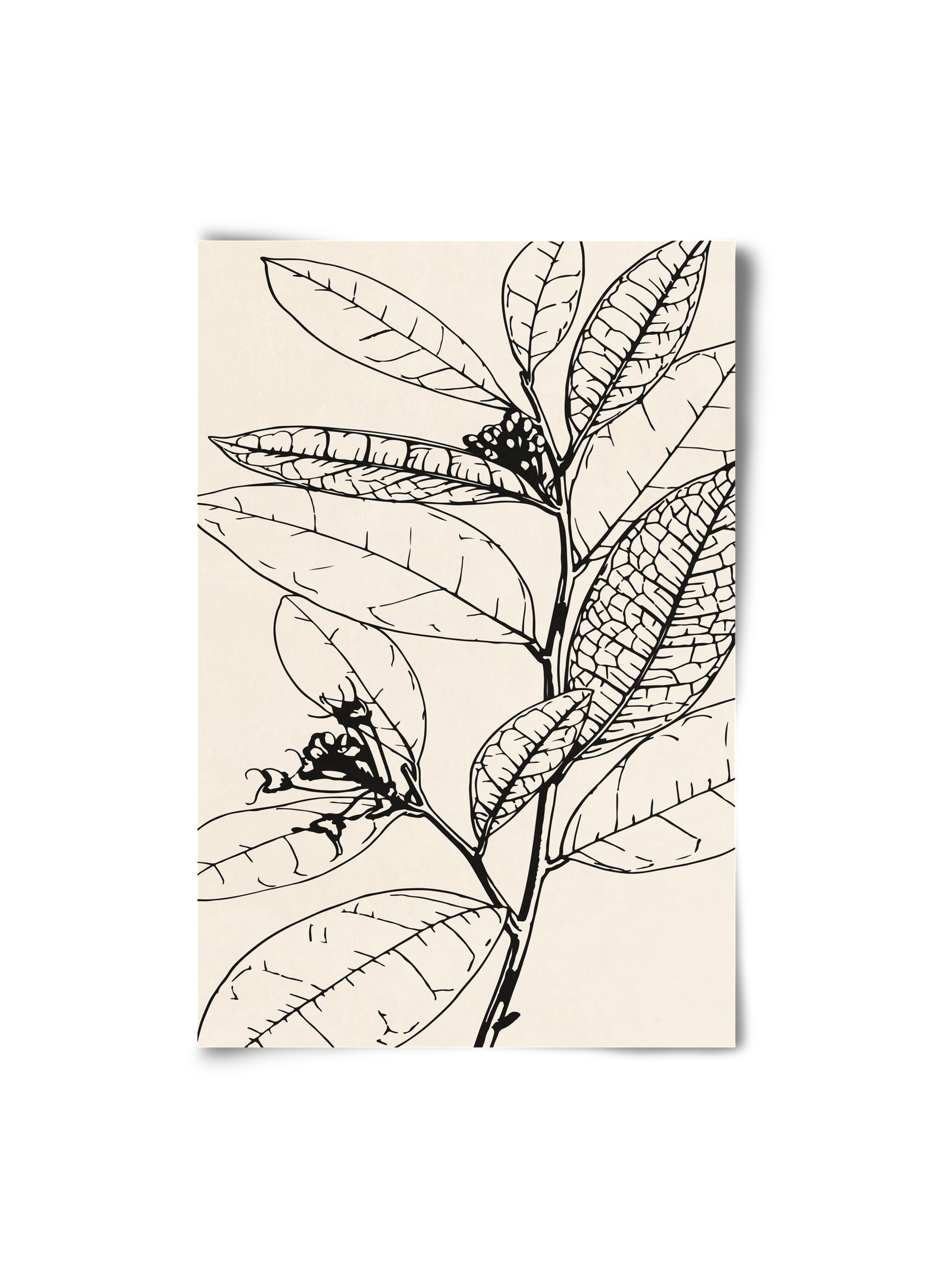 MINIMAL PLANT 02, 20x30 cm, Keret nélkül