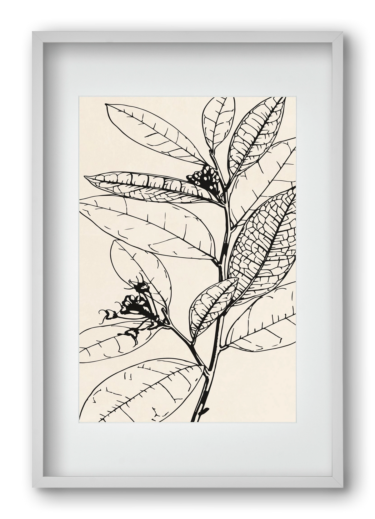 MINIMAL PLANT 02, 40x60 cm (30x45 cm), Fehér keret, paszpartuval