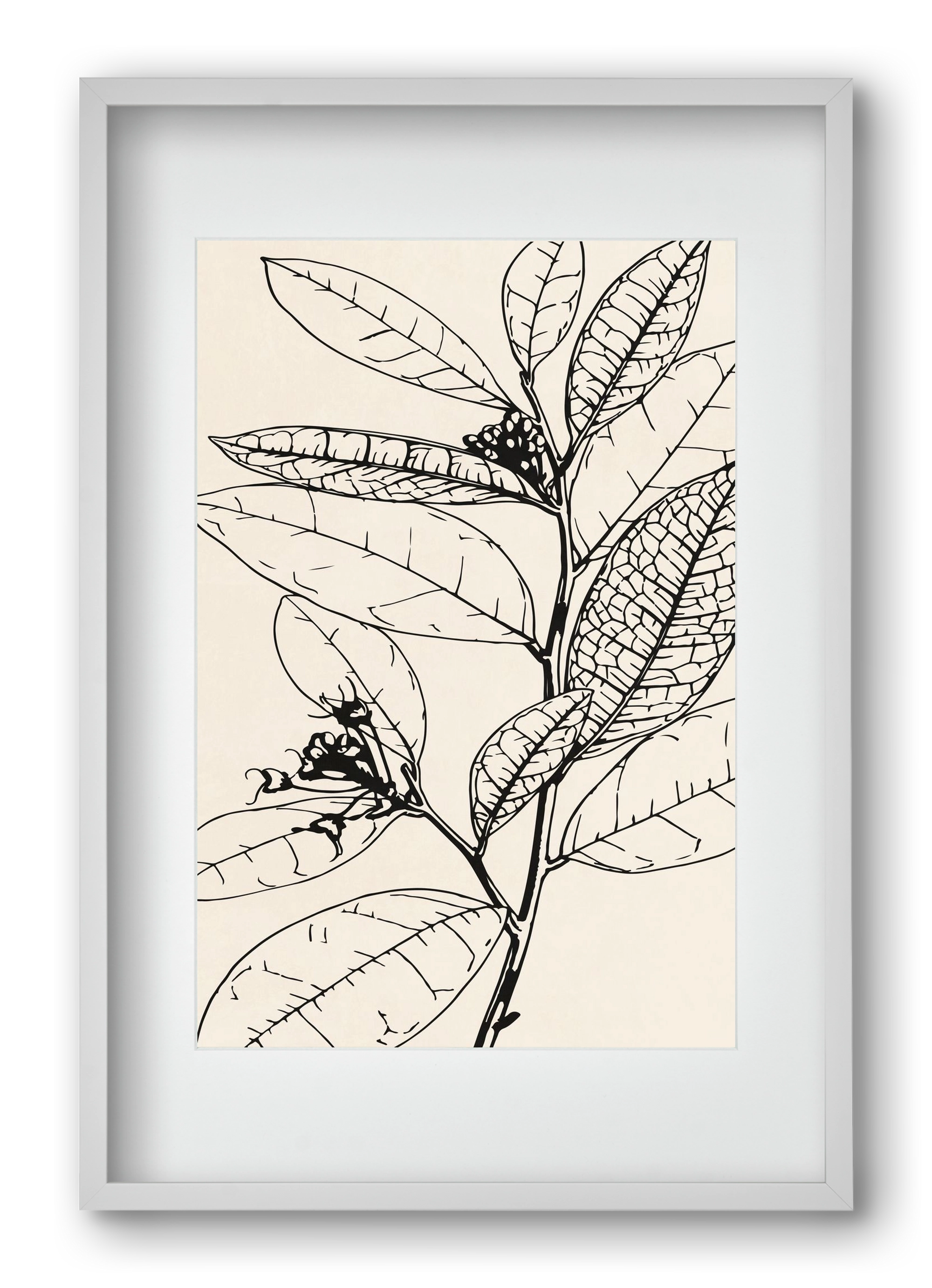 MINIMAL PLANT 02, 40x60 cm (30x45 cm), Fehér keret, paszpartuval