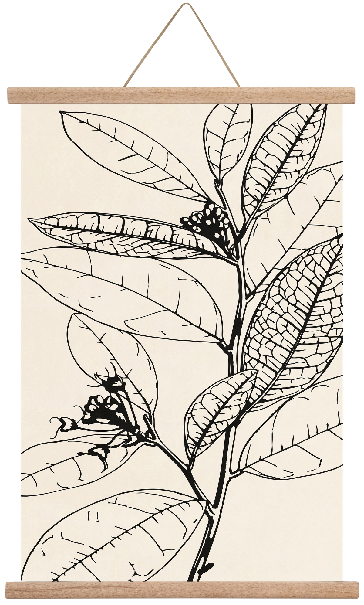 MINIMAL PLANT 02, 40x60 cm (40x60 cm), Tölgy akasztó