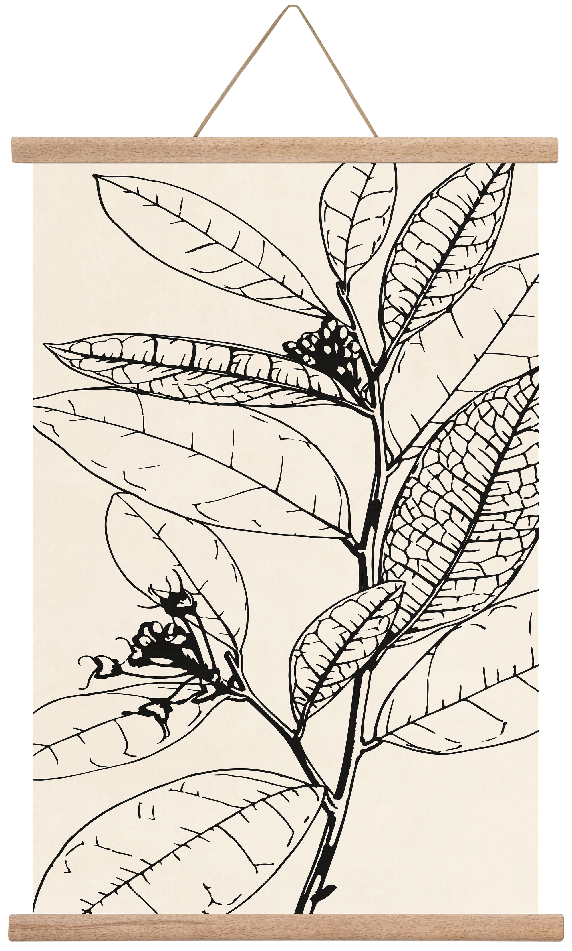 MINIMAL PLANT 02, 40x60 cm (40x60 cm), Tölgy akasztó