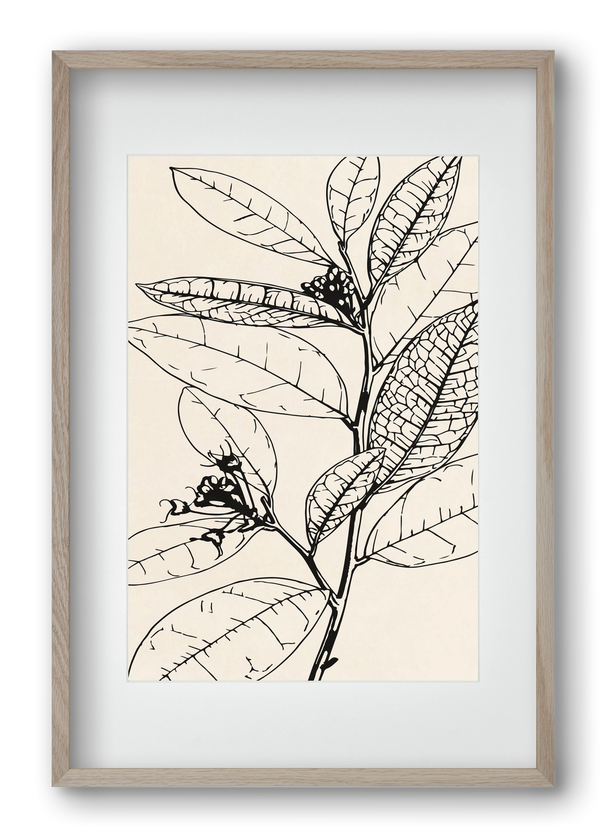 MINIMAL PLANT 02, 40x60 cm (30x45 cm), Tölgy keret, paszpartuval