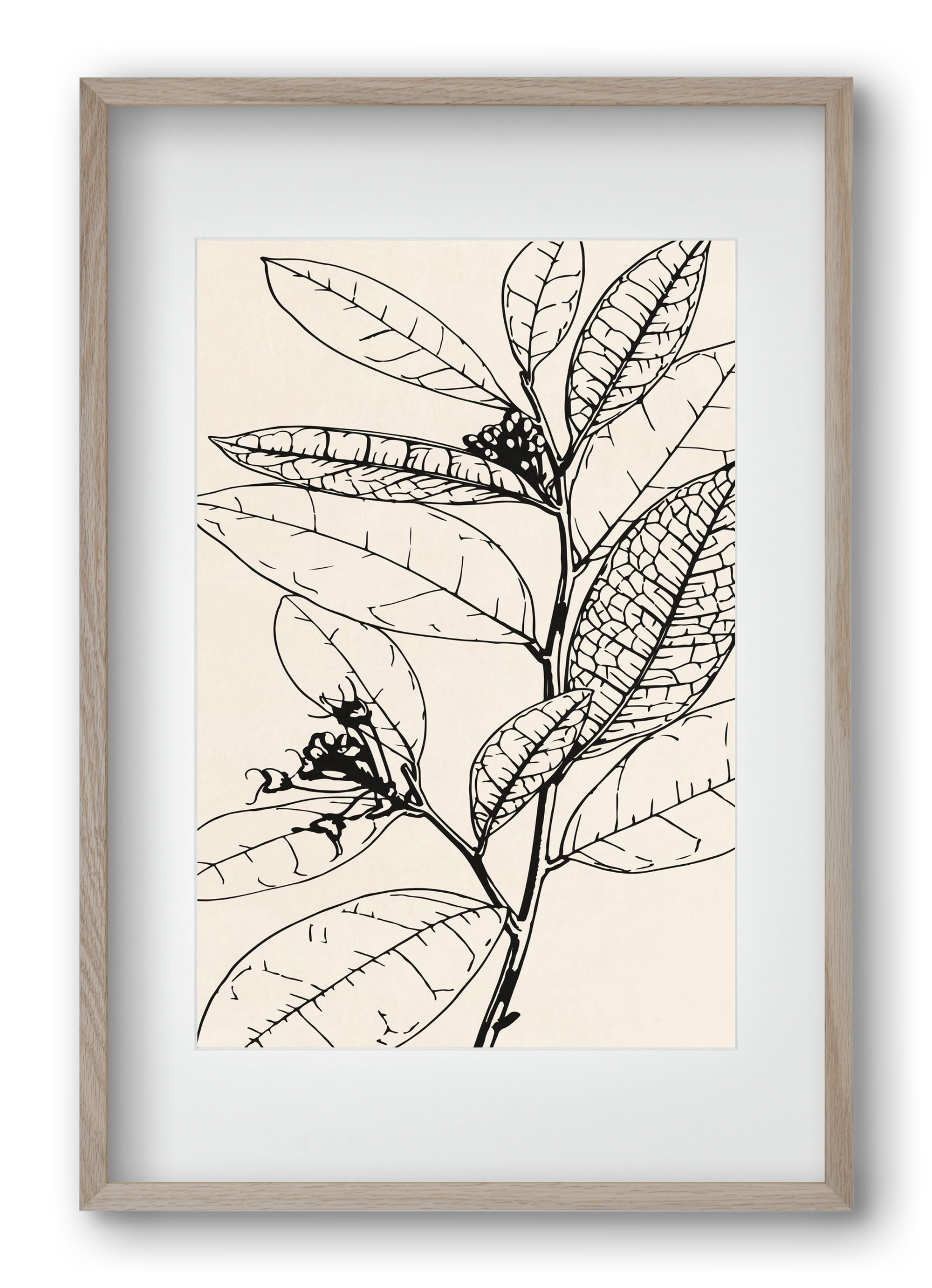 MINIMAL PLANT 02, 40x60 cm (30x45 cm), Tölgy keret, paszpartuval