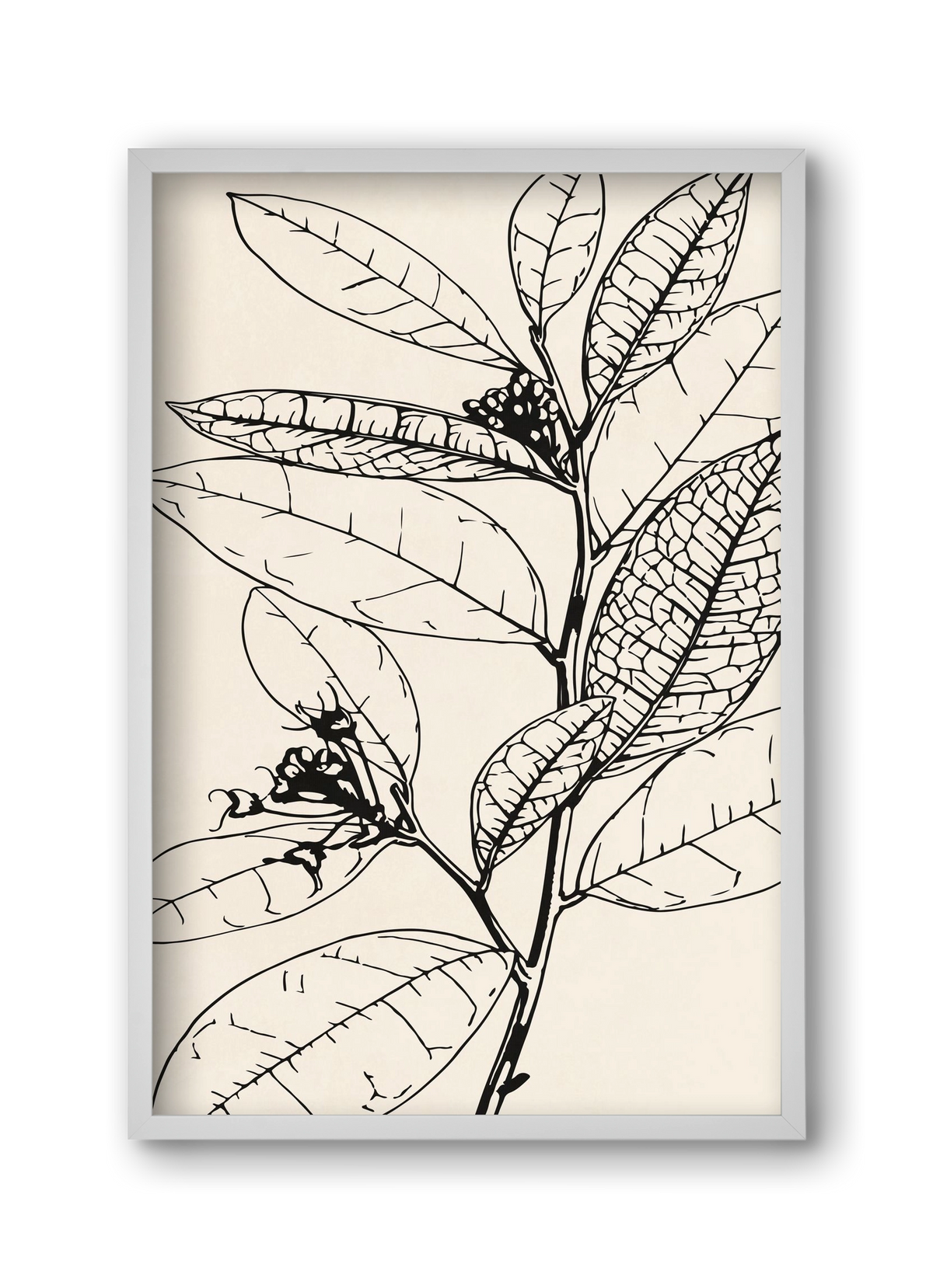 MINIMAL PLANT 02, 30x45 cm (30x45 cm), Fehér keret